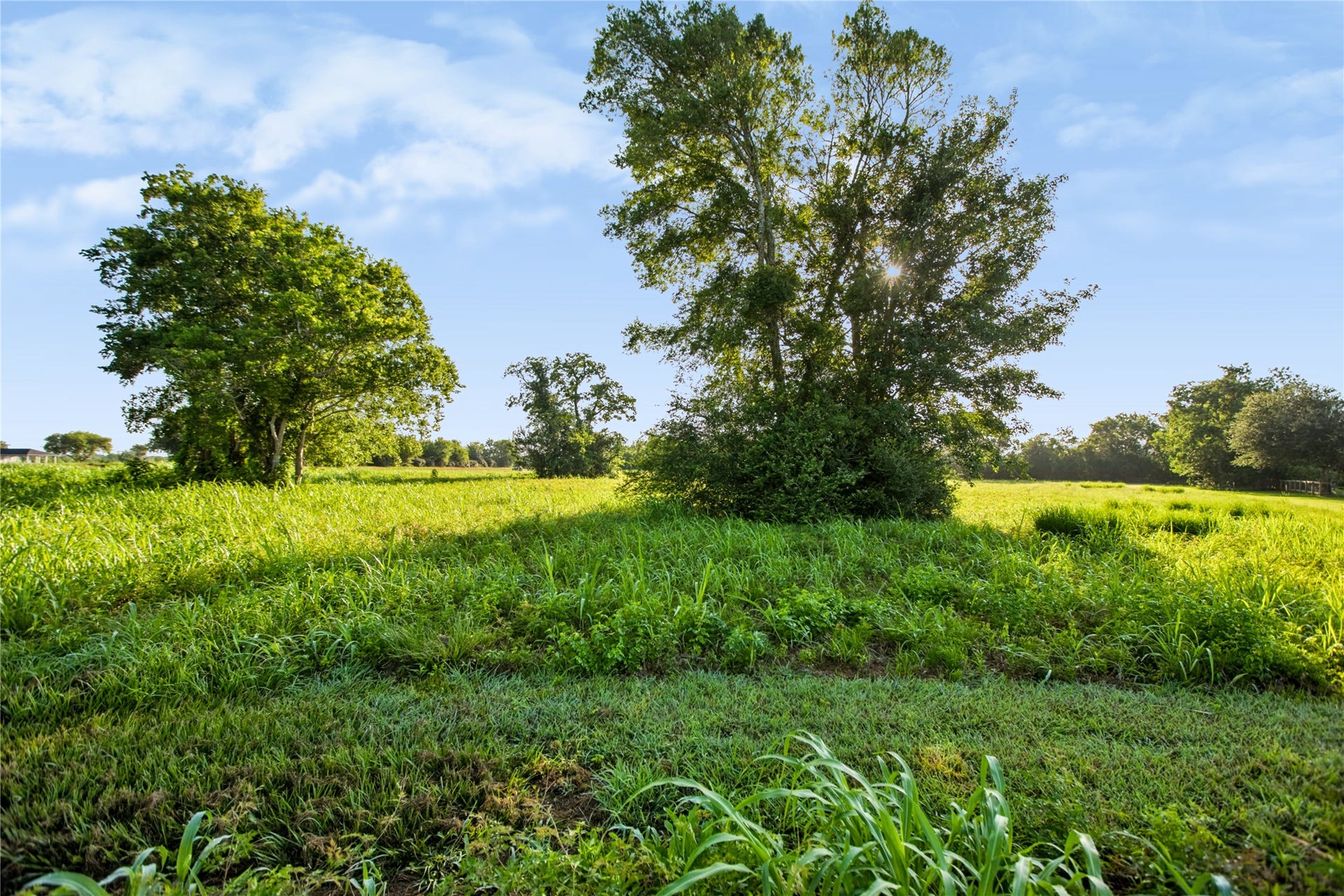 000 Penny Ln, Santa Fe, TX 77510 The land is cleared and ready to build, with some trees still remaining.