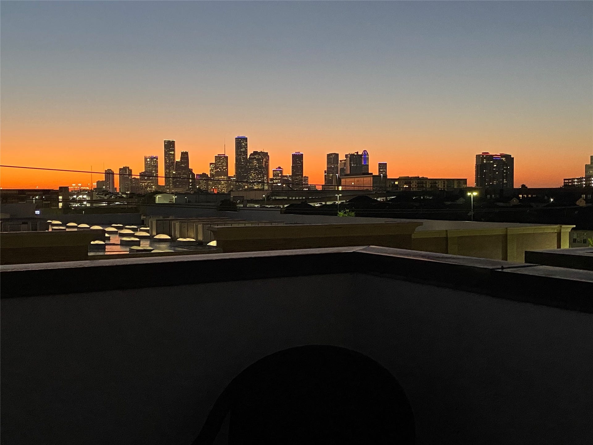 1281 Bonner Street, Houston, TX 77007 Roof Top View
