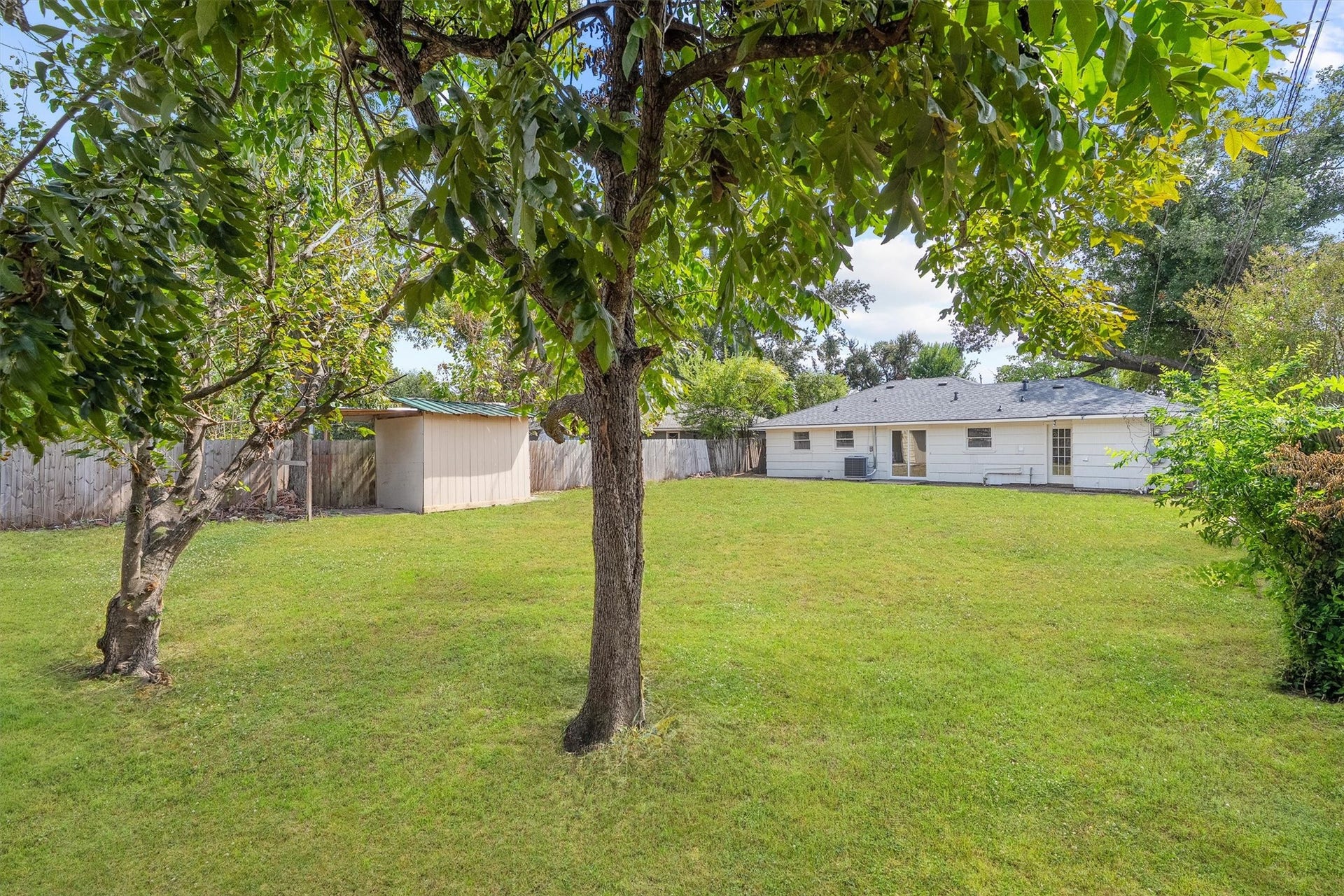 6630 Maybank Drive, Houston, TX 77055 Expansive backyard with lush greenery, mature trees, and a convenient storage shed, perfect for outdoor activities and relaxation.
