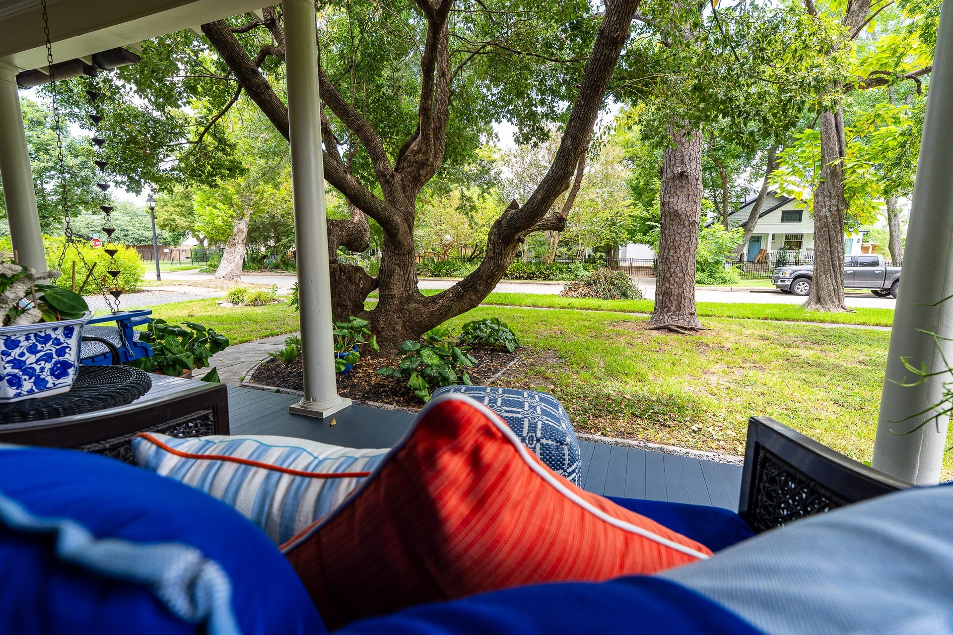 1841 Cortlandt Street, Houston, TX 77008 This is the view from the front porch looking at the crazy shaped climbing tree and Cortlandt Street!
