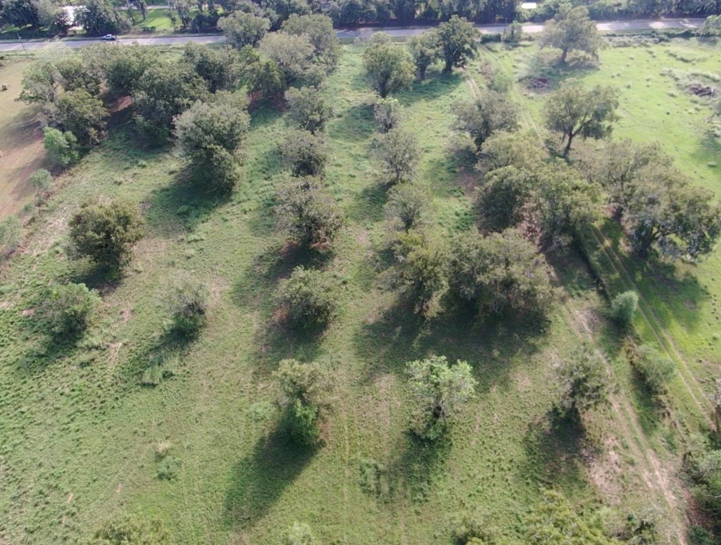 0 County Road 13, Damon, TX 77430 0 County Road 13, Damon, TX 77430