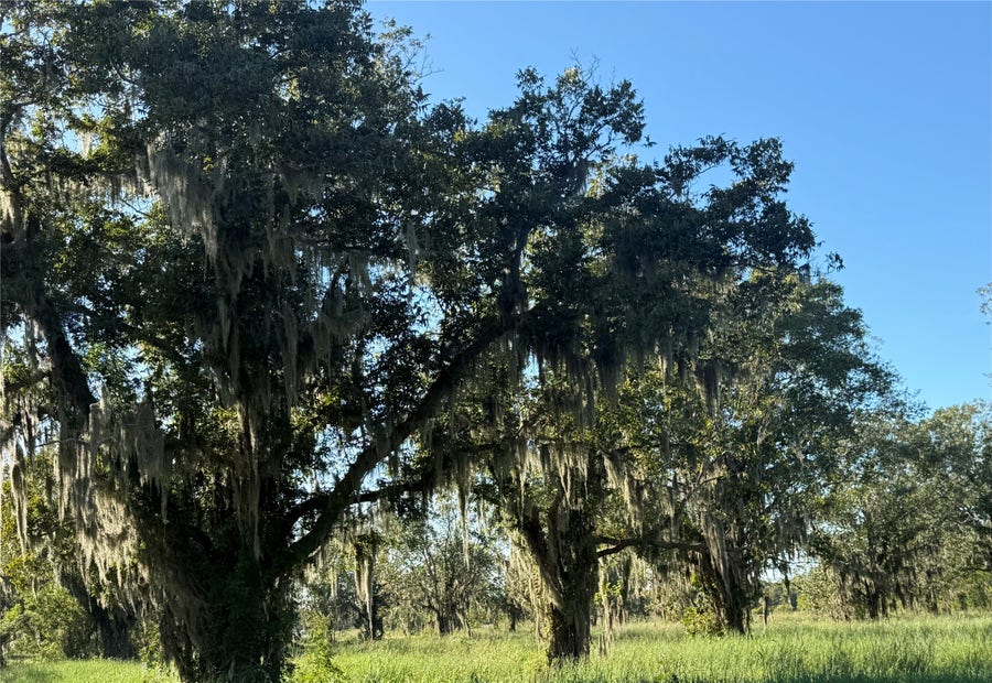 Property photo for 0 County Road 13, Damon, TX