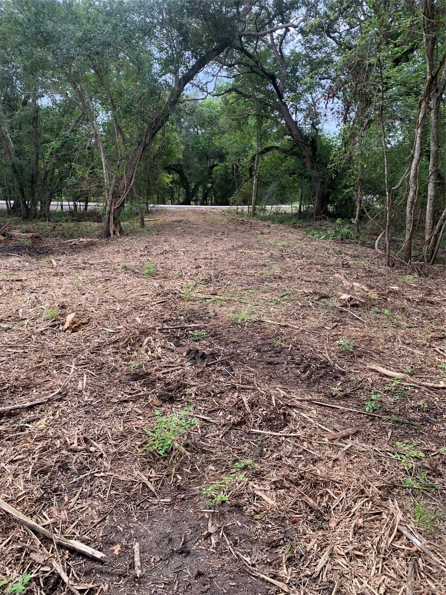 Property photo for 7212 Cobbs Oak Lane, Rosharon, TX