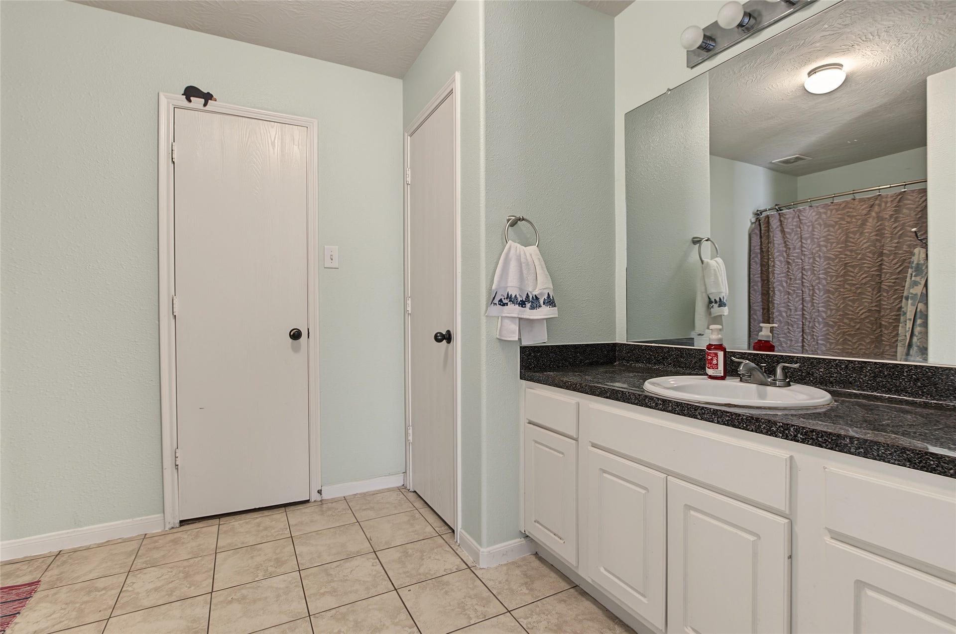 25251 Big Horn Lane, Magnolia, TX 77355 25251 Big Horn Lane, Magnolia, TX 77355