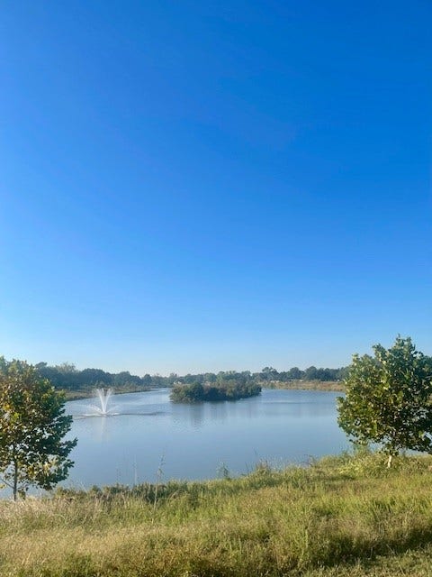 1539 Ramada Drive, #1539, Houston, TX 77062