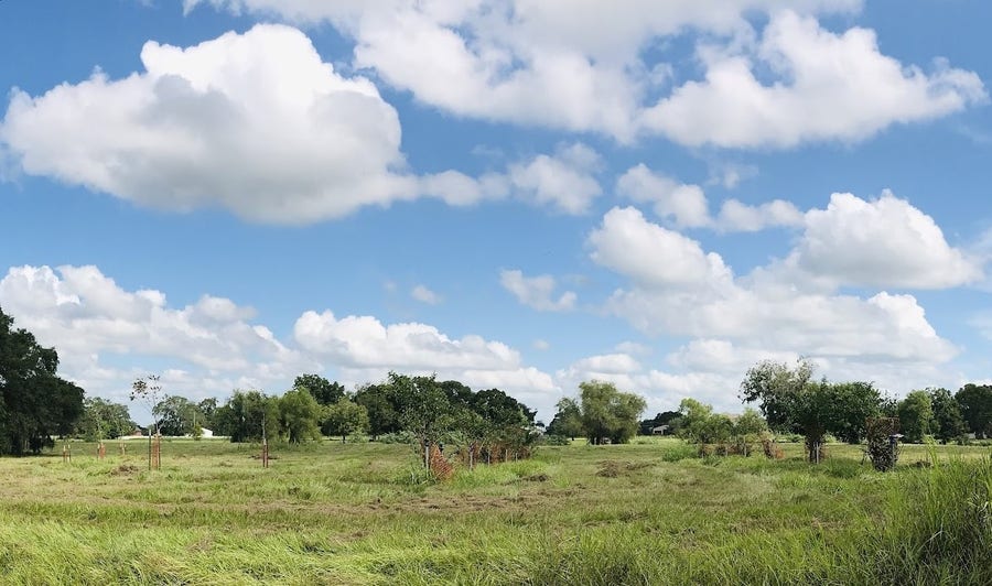 Property photo for 762 Stallion Circle, Angleton, TX