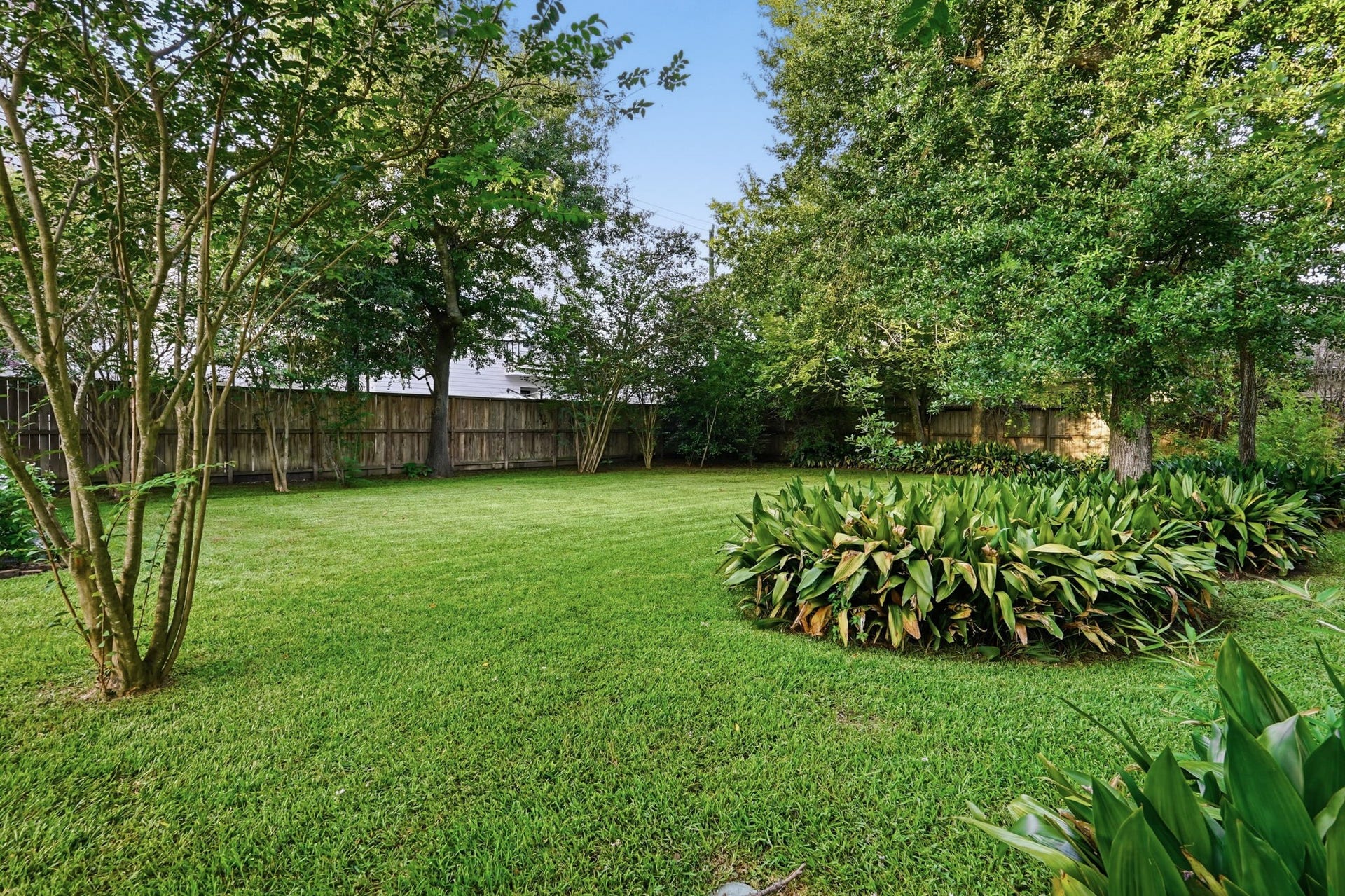 1320 Woodvine Drive, Houston, TX 77055 1320 Woodvine Drive, Houston, TX 77055