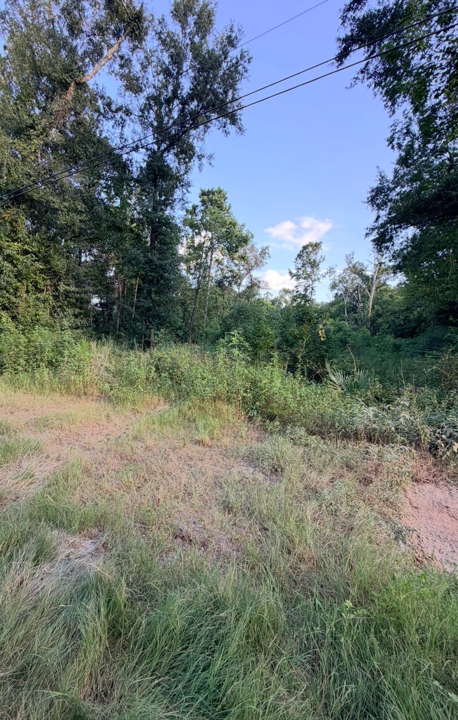 Property photo for 0 Lyric, Conroe, TX