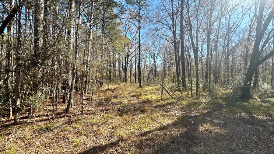 Property photo for 0 Royal Springs Rd Road, Conroe, TX