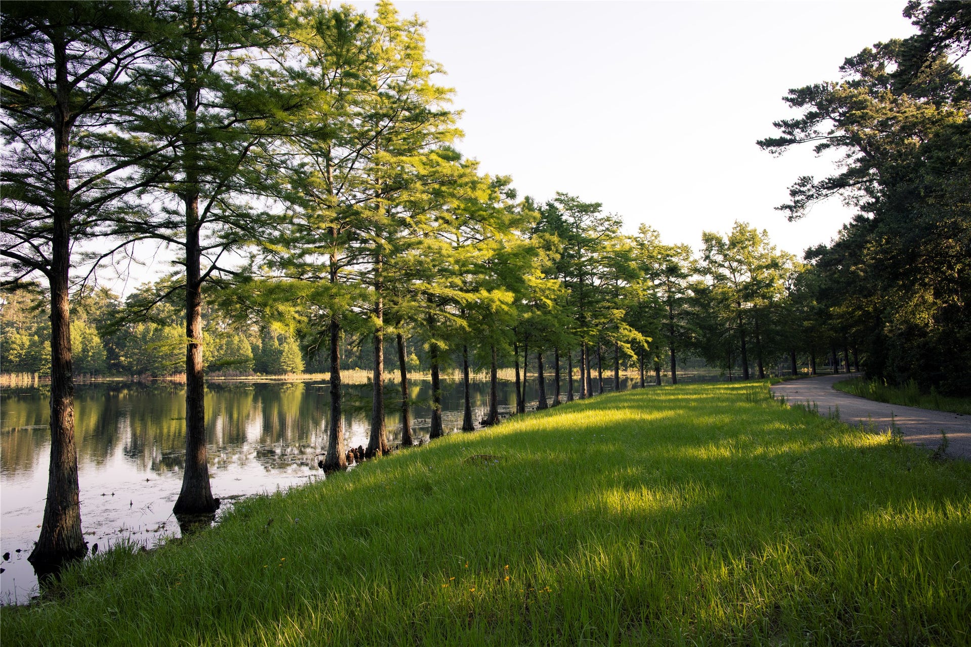 The 12-acre Deer Lake is another place to cast a line, whether from your own private fishing hole along the natural shoreline, the fishing pier or your kayak.