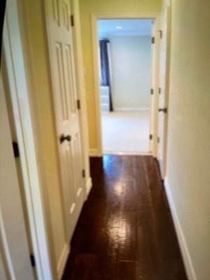 2379 Briarwest Boulevard, #53, Houston, TX 77077 2379 Briarwest Boulevard, #53, Houston, TX 77077