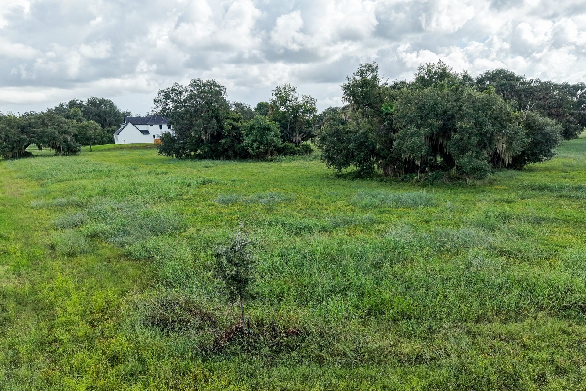 1601 Old Henry Court, Angleton, TX 77515