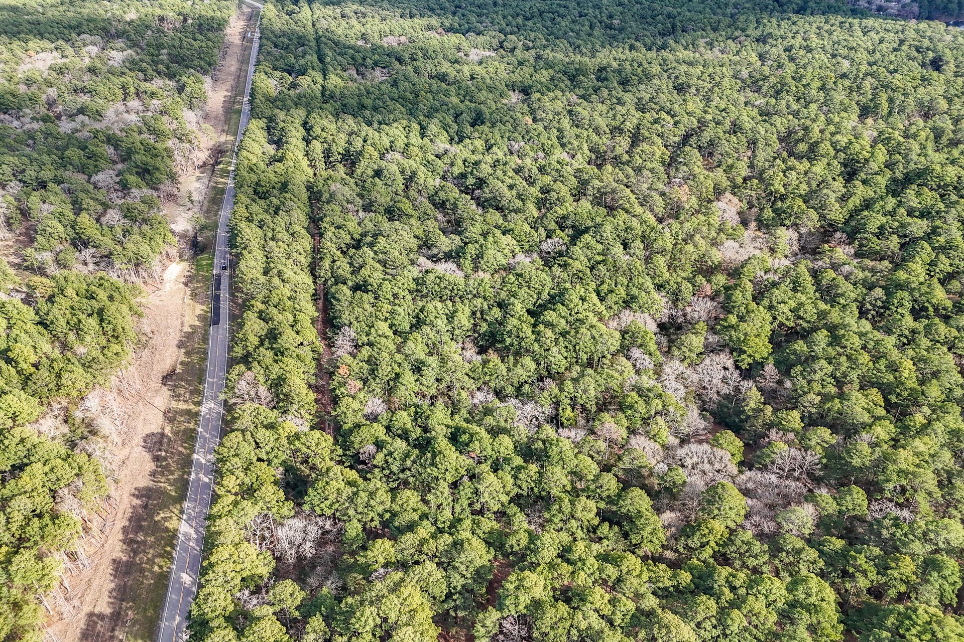 0 Hickory Bow Lane, Hempstead, TX 77445