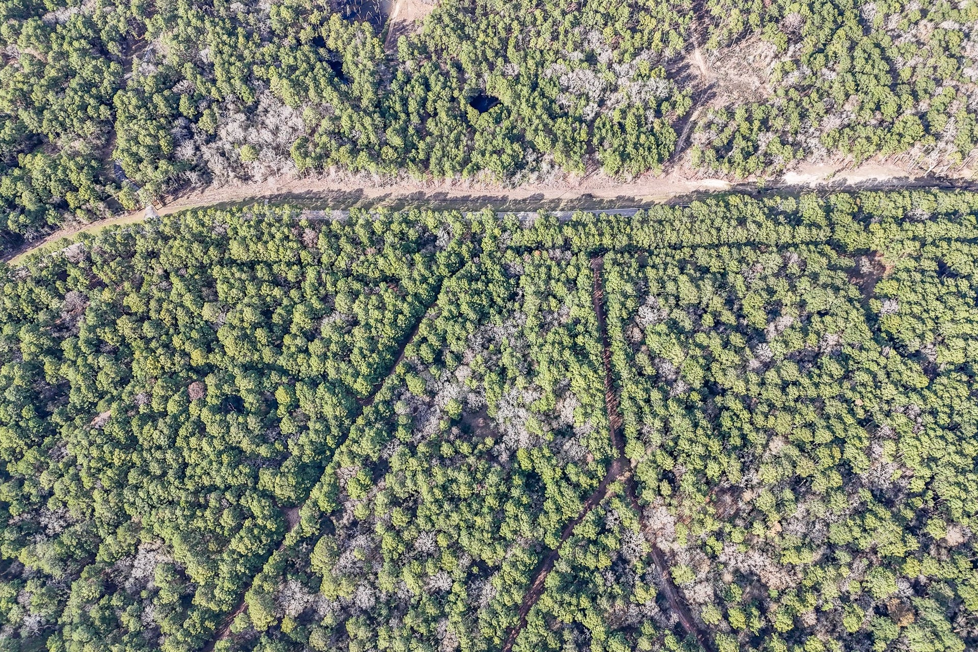 0 Hickory Bow Lane, Hempstead, TX 77445