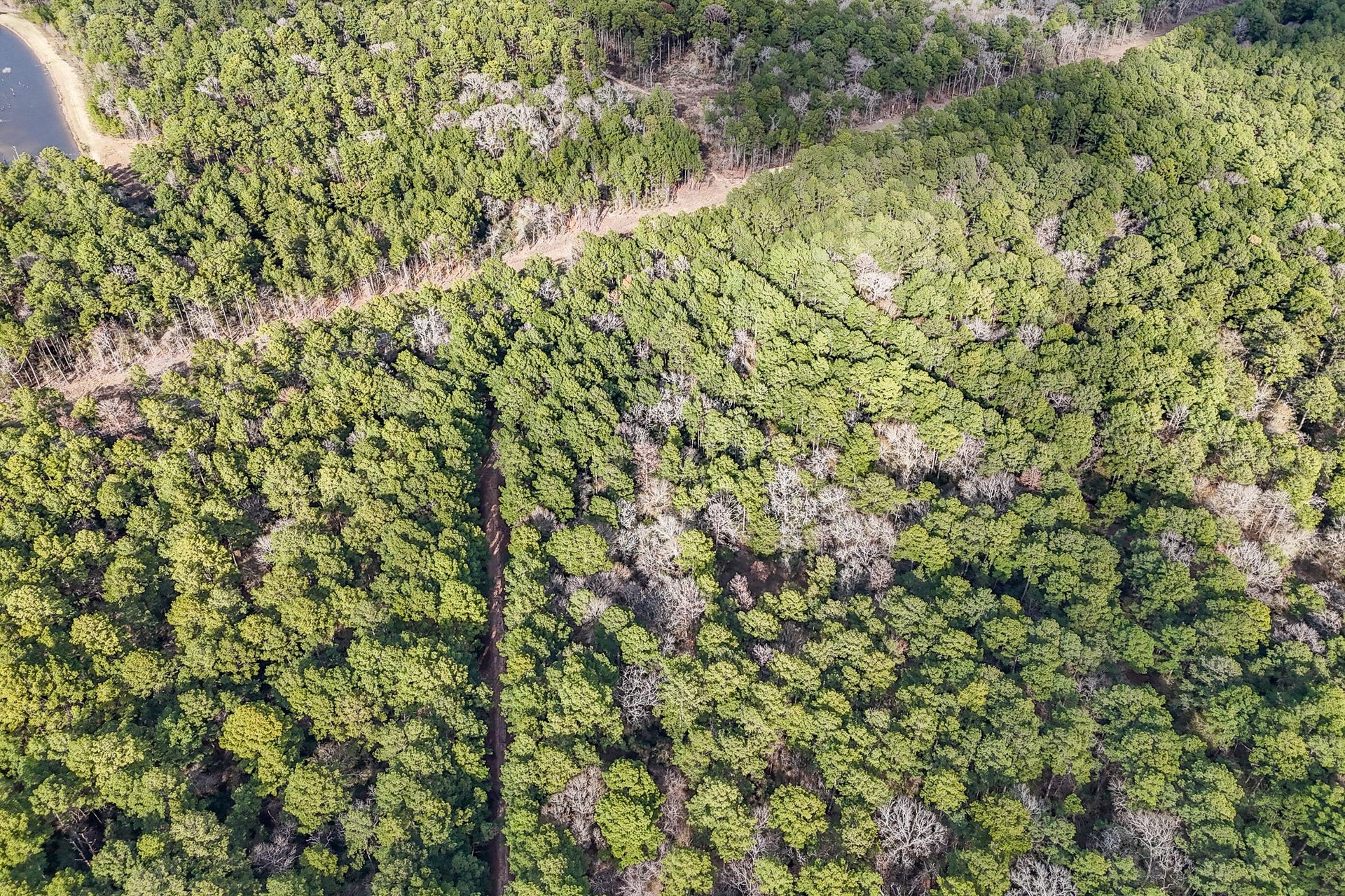 0 Hickory Bow Lane, Hempstead, TX 77445