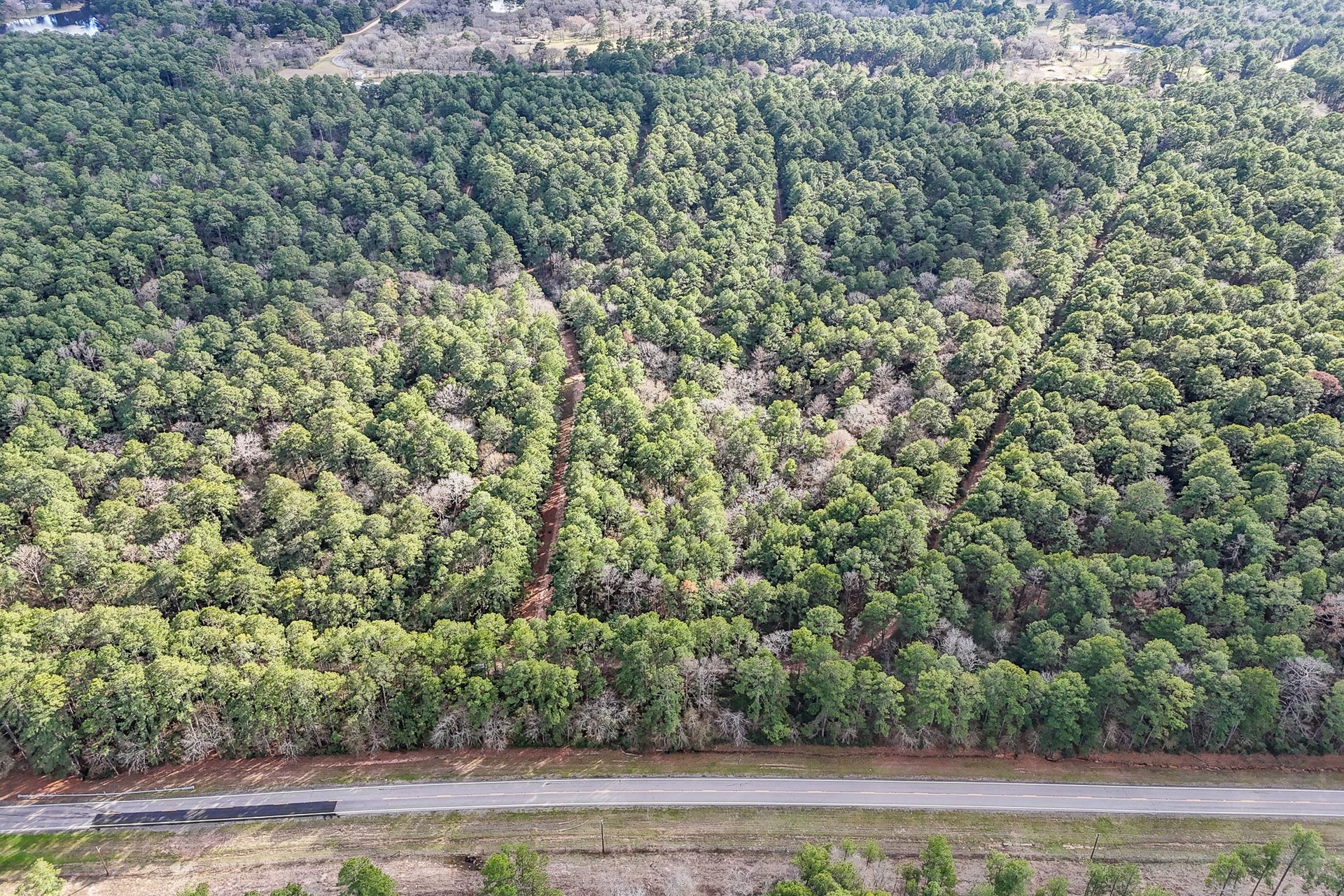 0 Hickory Bow Lane, Hempstead, TX 77445