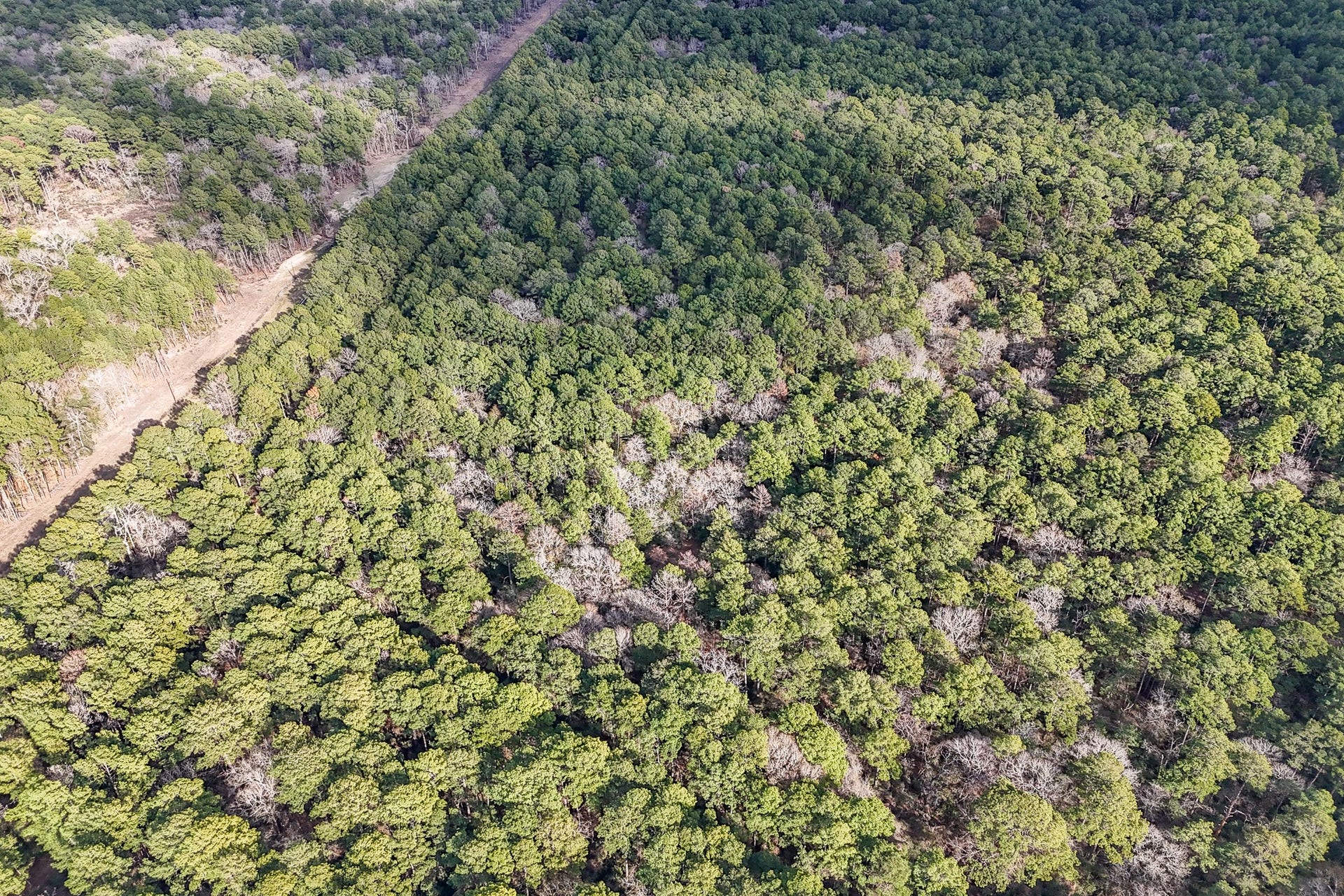 0 Hickory Bow Lane, Hempstead, TX 77445