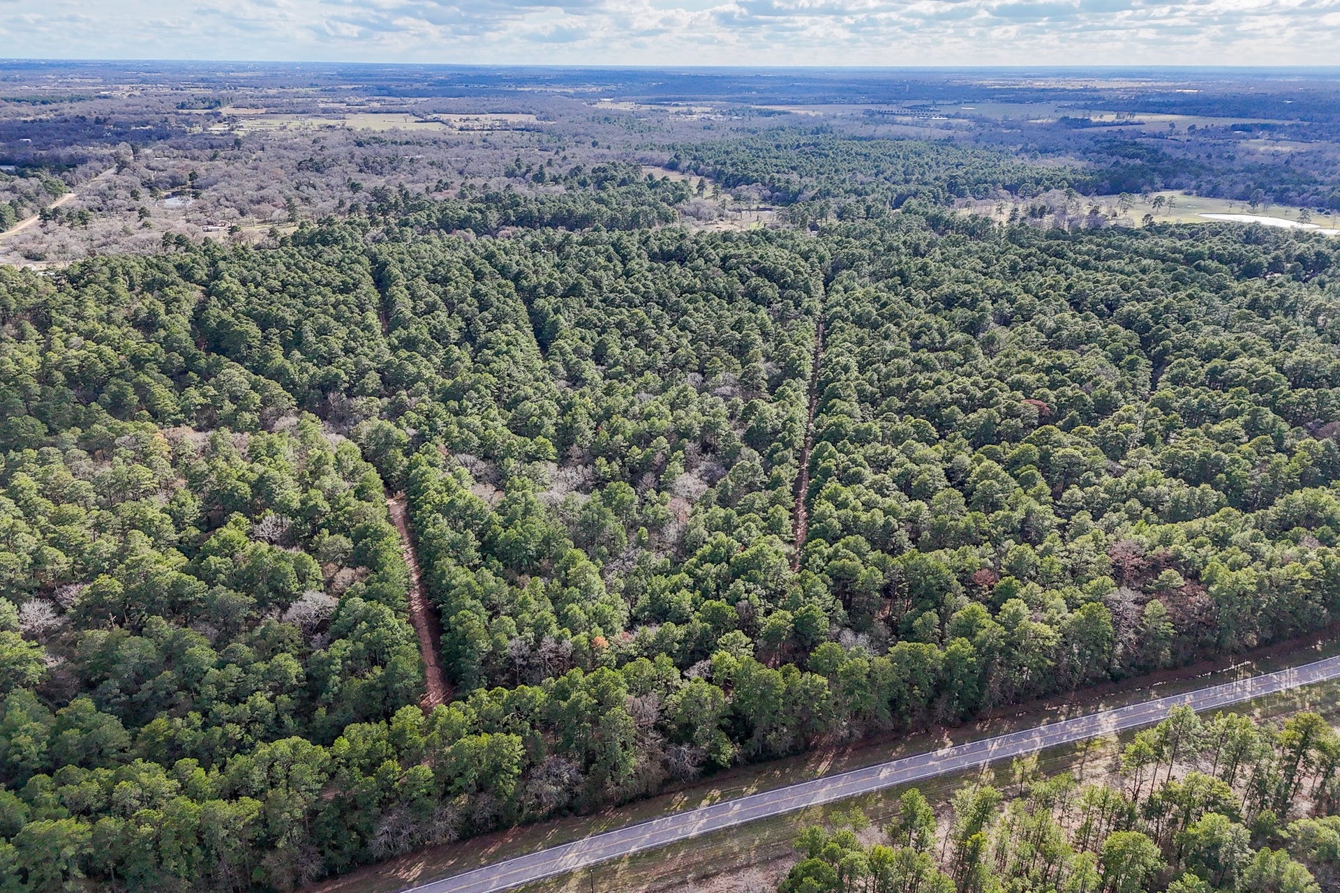 0 Hickory Bow Lane, Hempstead, TX 77445