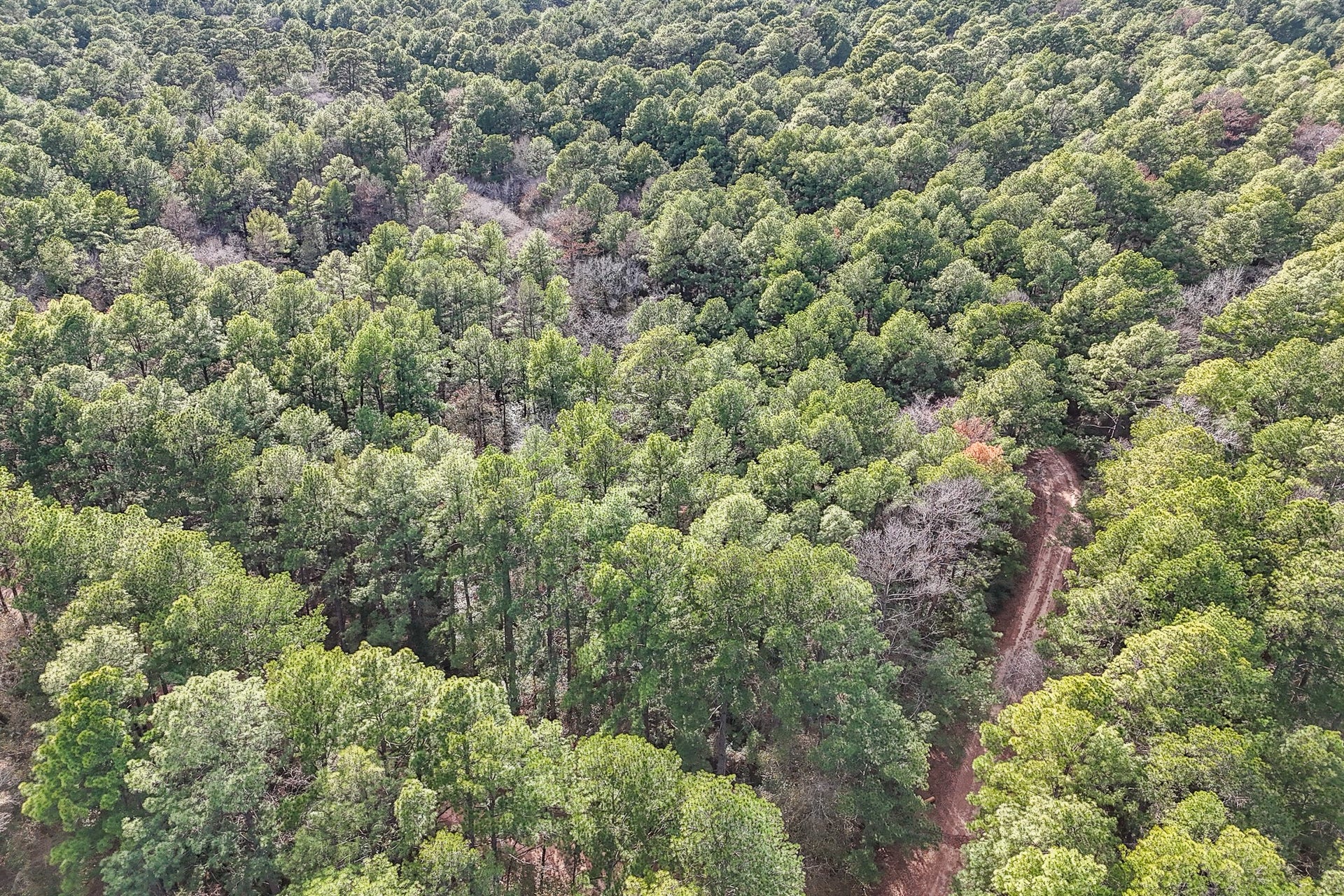 0 Hickory Bow Lane, Hempstead, TX 77445