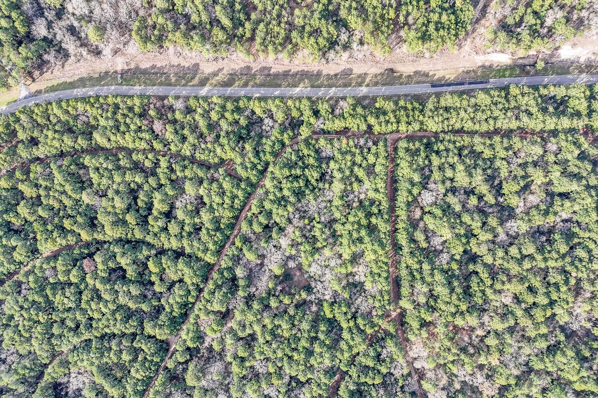0 Hickory Bow Lane, Hempstead, TX 77445