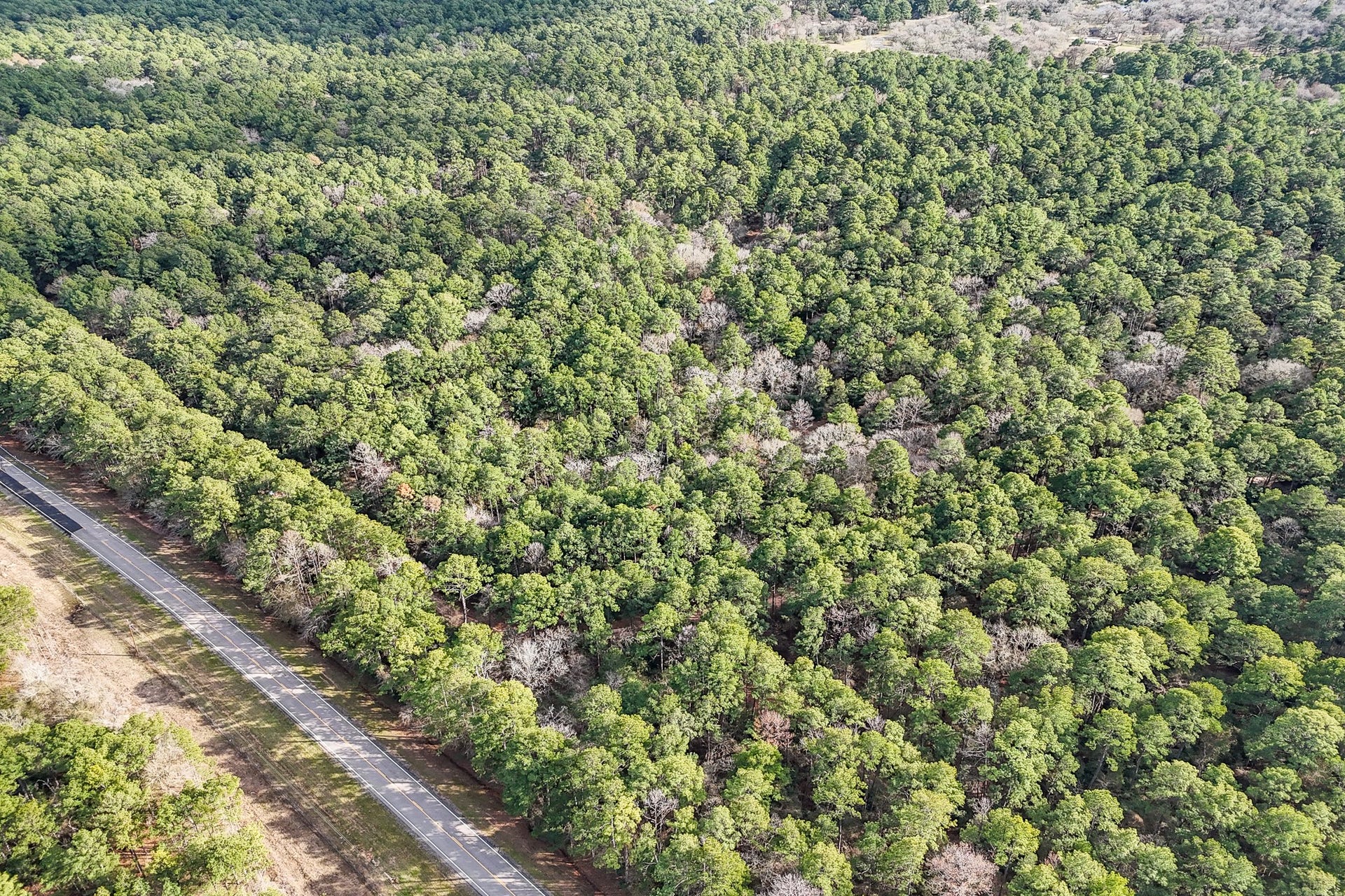 0 Hickory Bow Lane, Hempstead, TX 77445