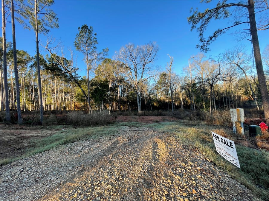 Property photo for 11351 Annie Creek Drive, Willis, TX