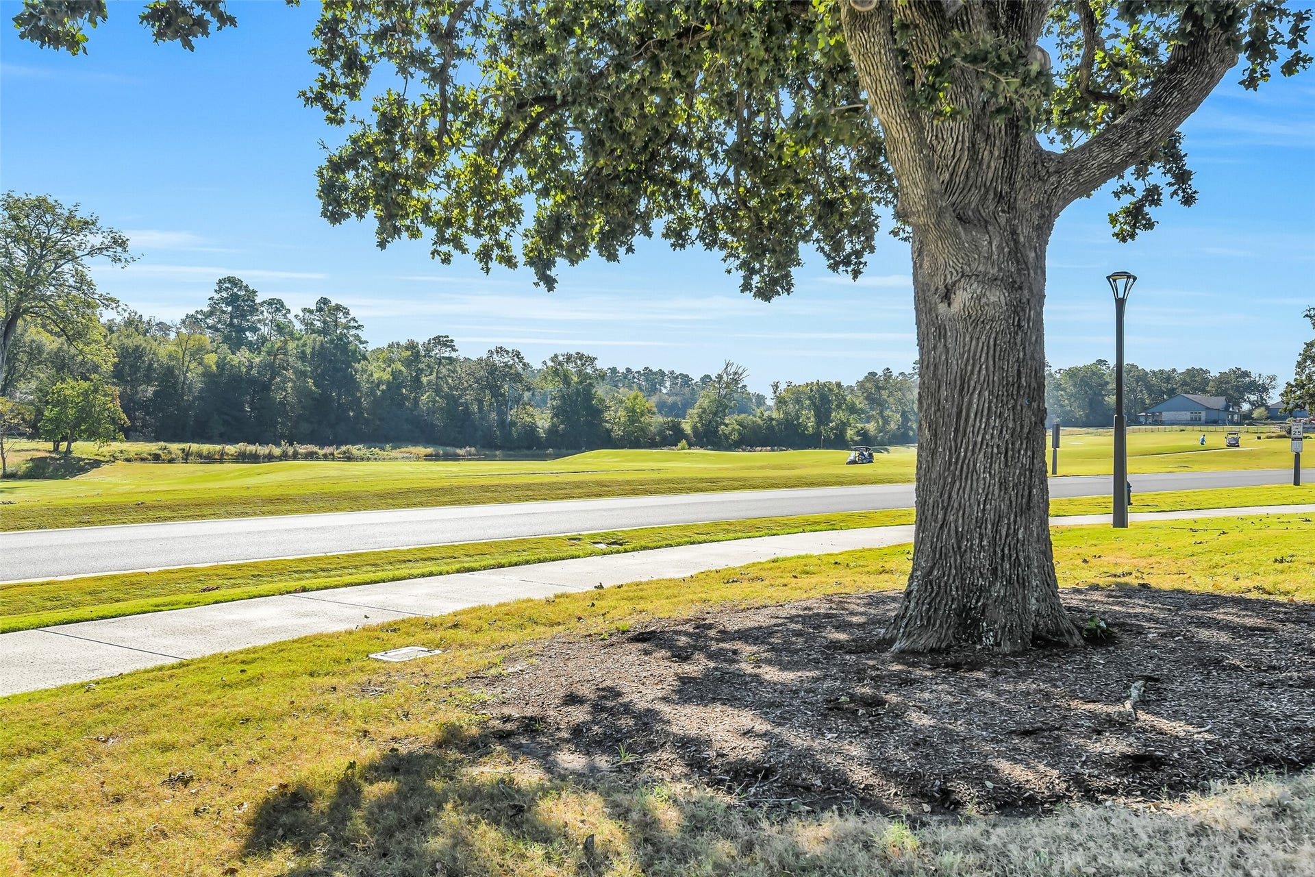 10031 Lehman Drive, Willis, TX 77318