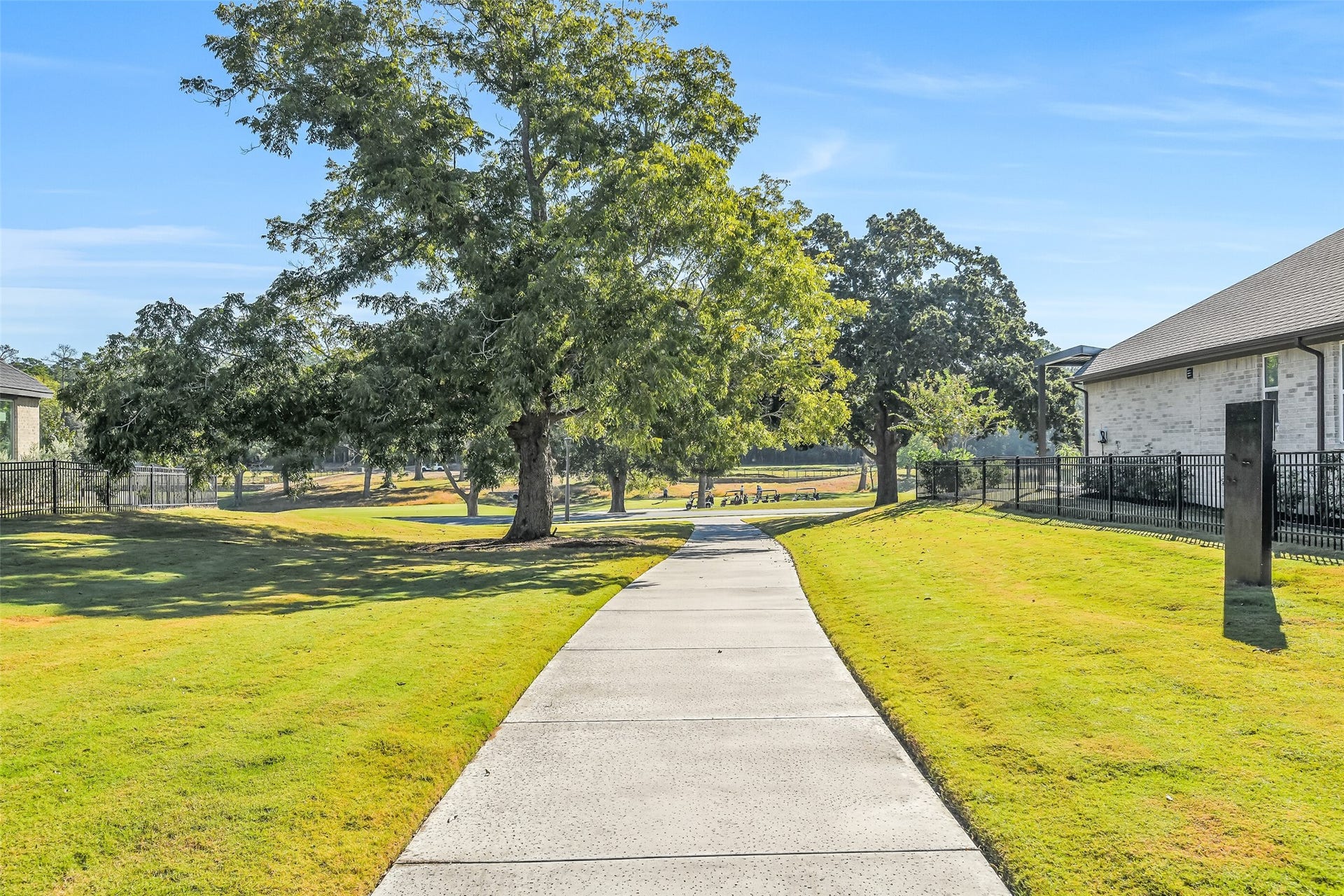 10031 Lehman Drive, Willis, TX 77318