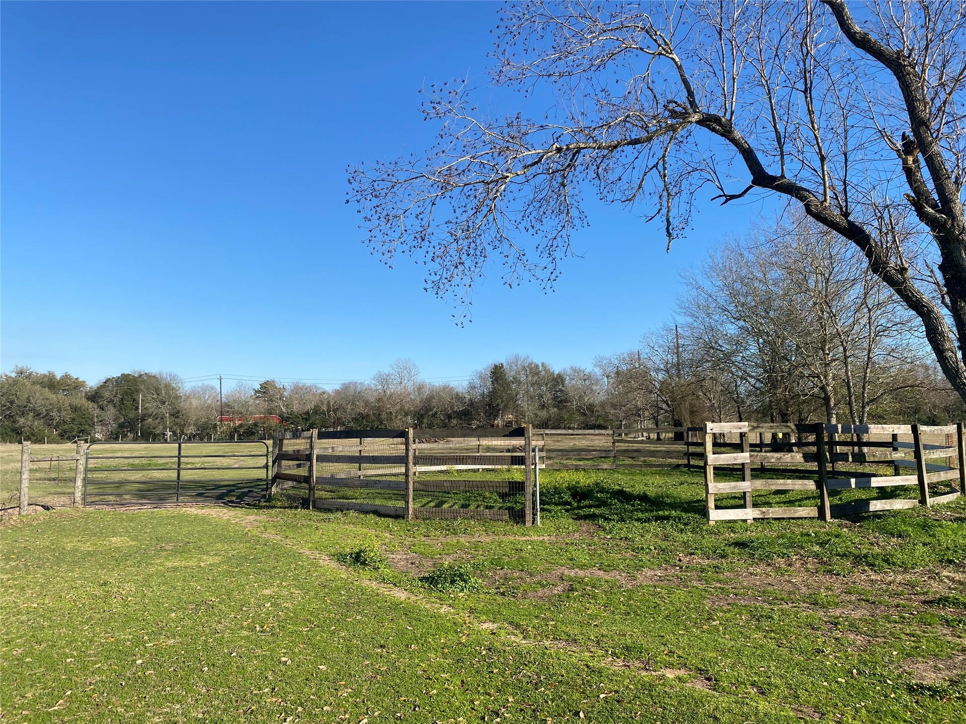 17230 Bell Street, Hockley, TX 77447