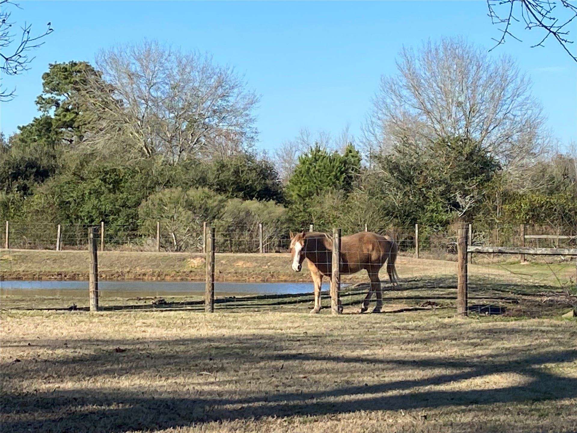 17230 Bell Street, Hockley, TX 77447