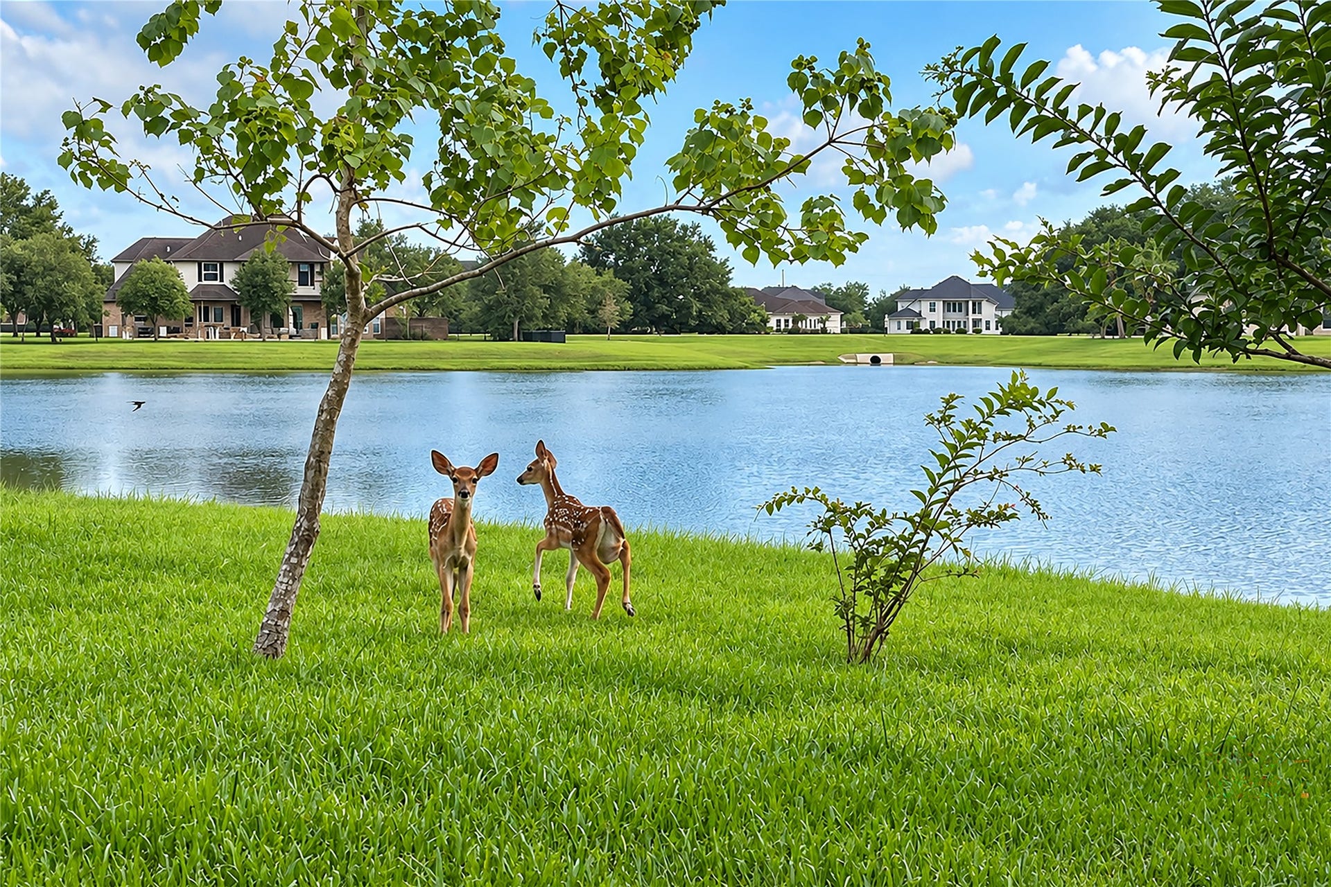 8902 Marshall Island Street, Richmond, TX 77469 8902 Marshall Island Street, Richmond, TX 77469