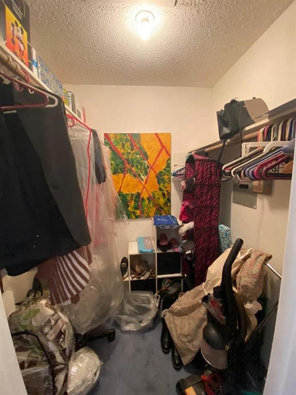 10049 Westpark Drive, #136, Houston, TX 77042 This is a small walk-in closet with shelves and hanging space on both sides. It features a light fixture on the ceiling and is carpeted. The closet is currently used for storage, with clothes, shoes, and various items visible.