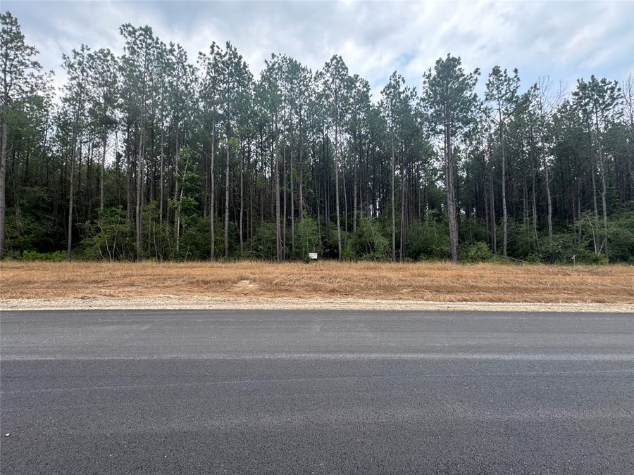 Property photo for 10634 Forest Mill Road, Willis, TX