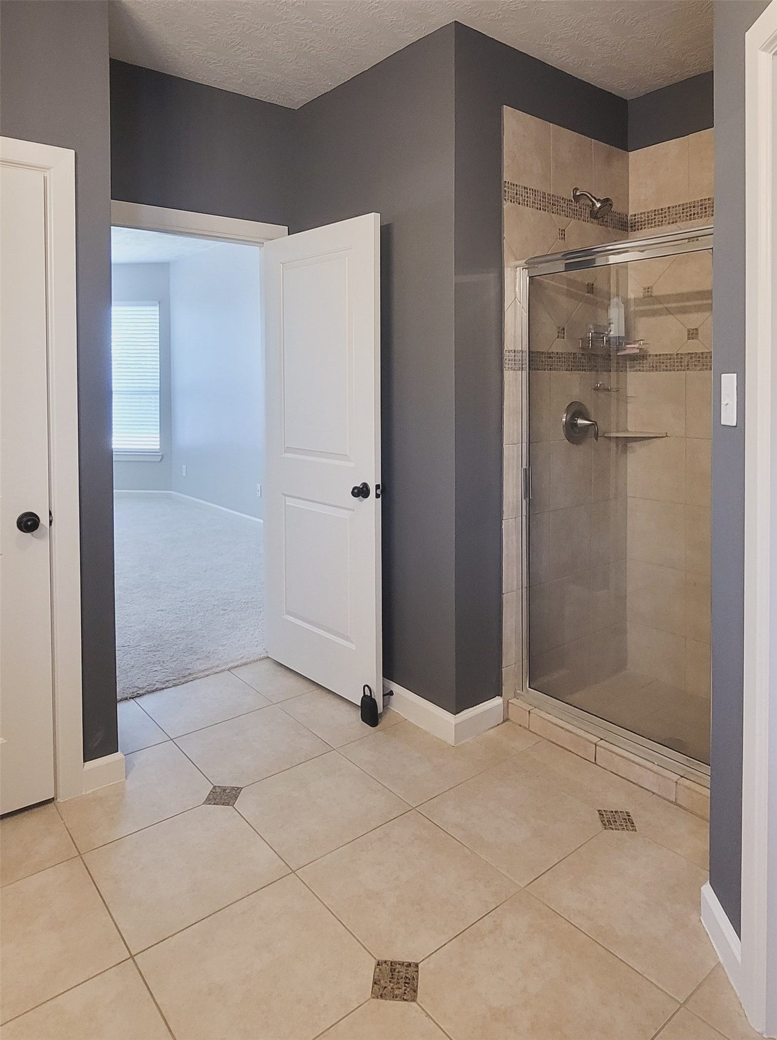 12638 Ember Village Lane, Tomball, TX 77377 Primary bathroom stand alone show