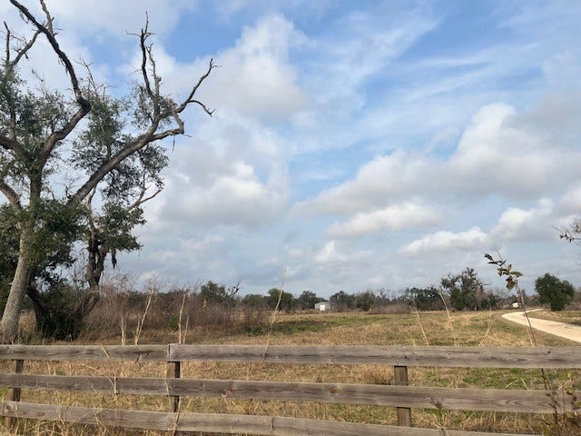 Property photo for Lot 41 County Road 819, Brazoria, TX