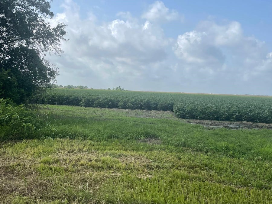 Property photo for 10815 Koym Road, Beasley, TX