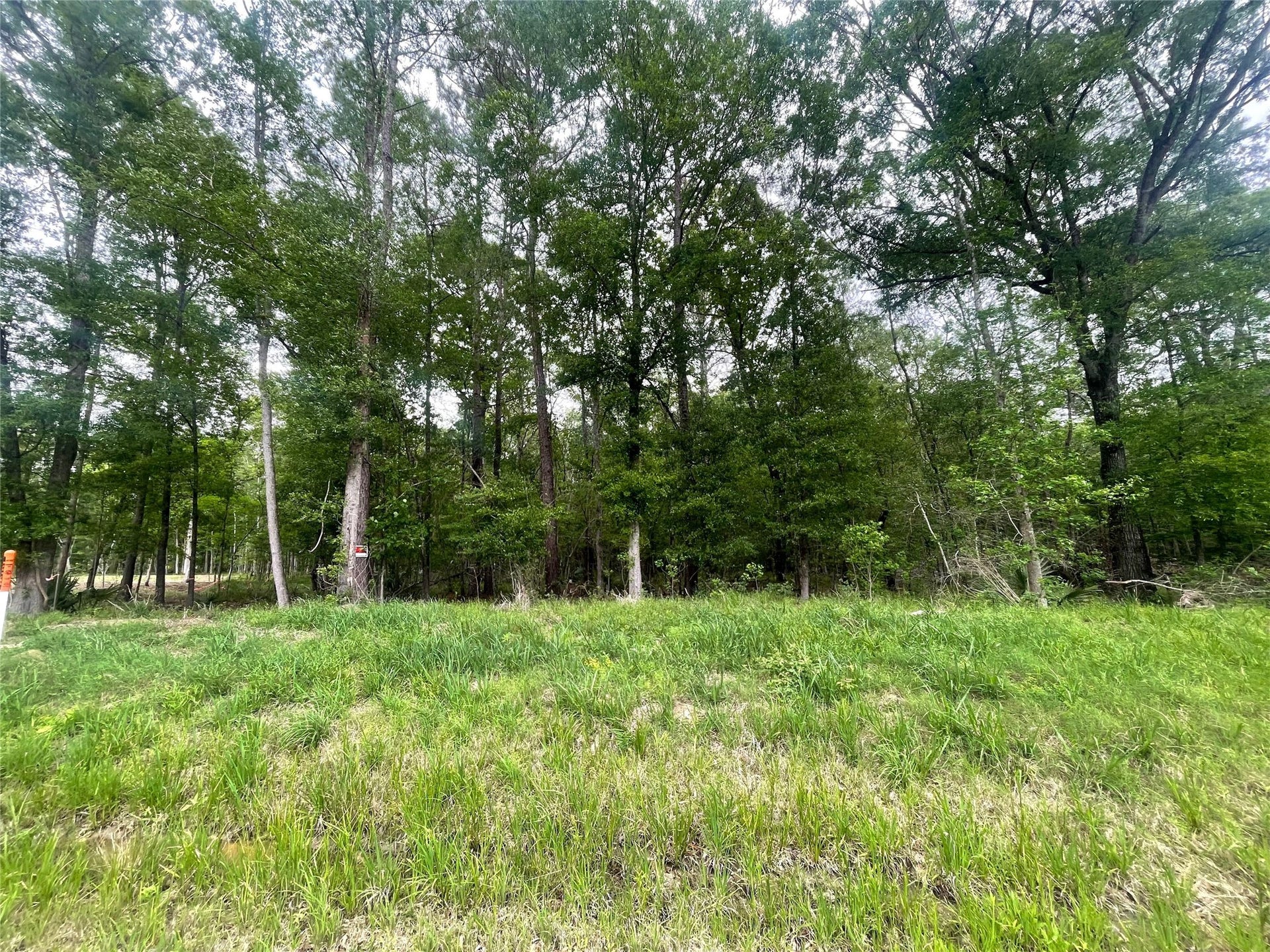 1230 Road 6324, Dayton, TX 77535 Generous road frontage and a wooded backdrop create an inviting setting for a future custom residence.