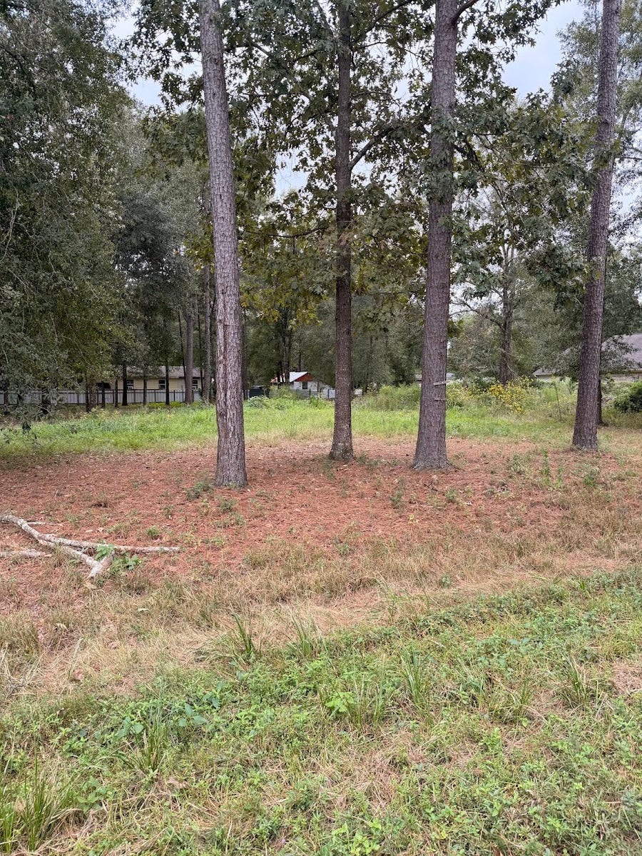 Property photo for 25546 Cambridge Boulevard, New Caney, TX