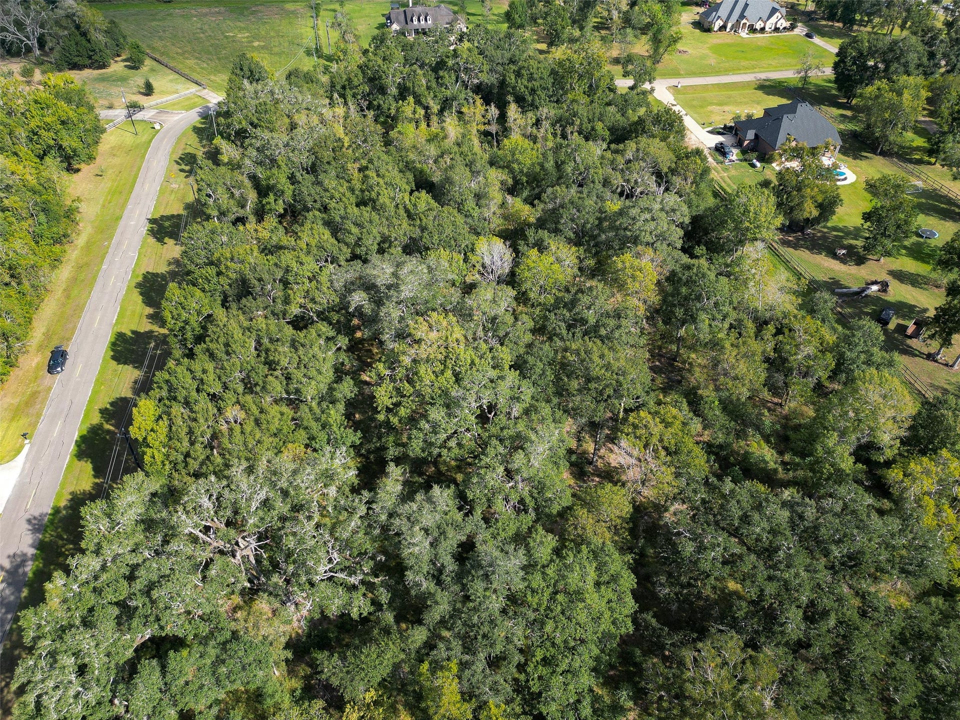 17227 Hamill Drive, Rosharon, TX 77583 17227 Hamill Drive, Rosharon, TX 77583