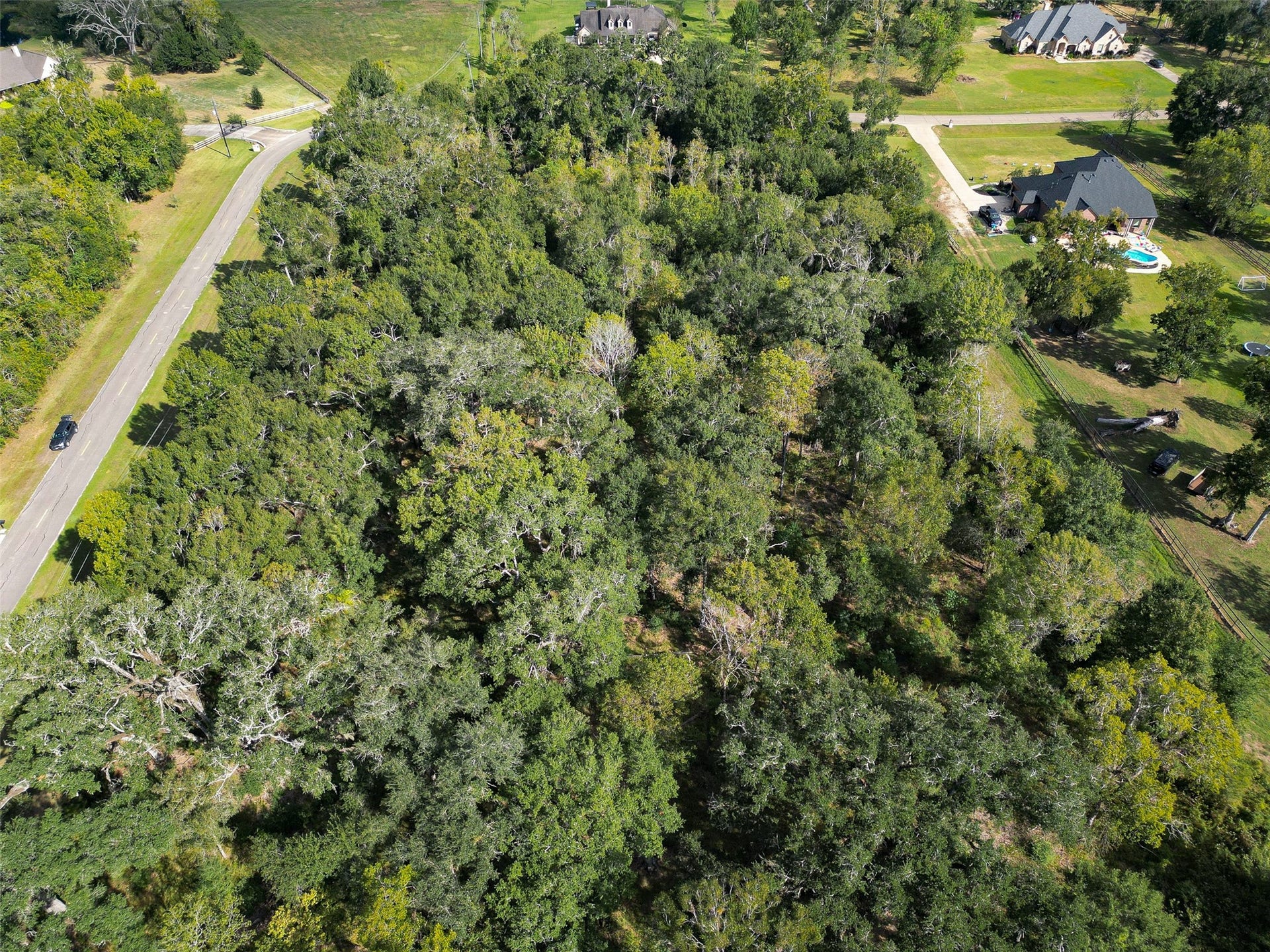 17227 Hamill Drive, Rosharon, TX 77583 17227 Hamill Drive, Rosharon, TX 77583