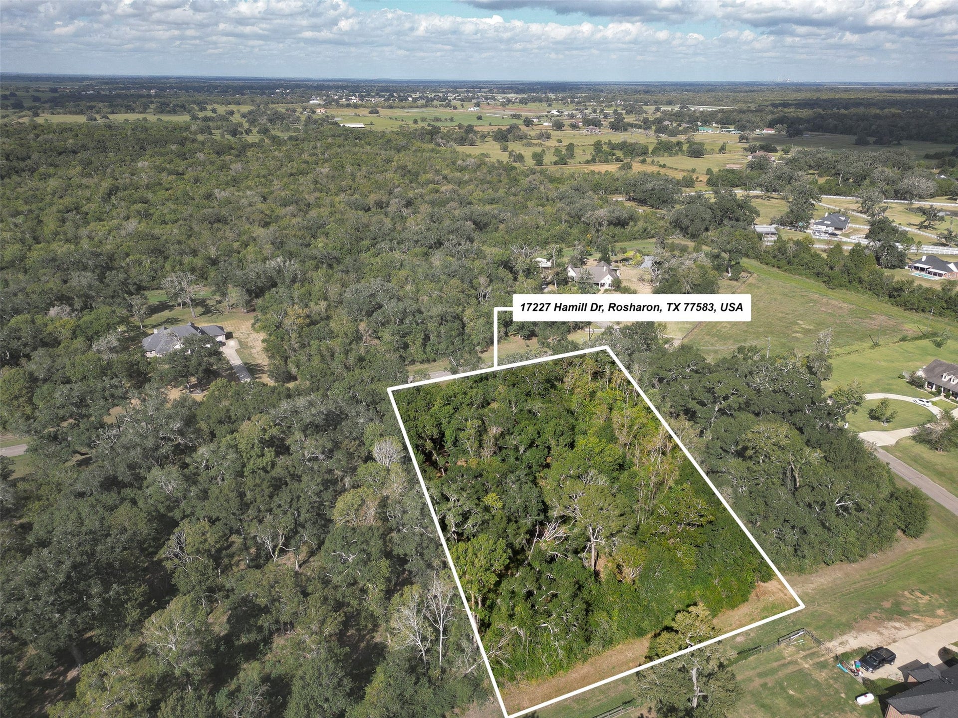 17227 Hamill Drive, Rosharon, TX 77583 17227 Hamill Drive, Rosharon, TX 77583