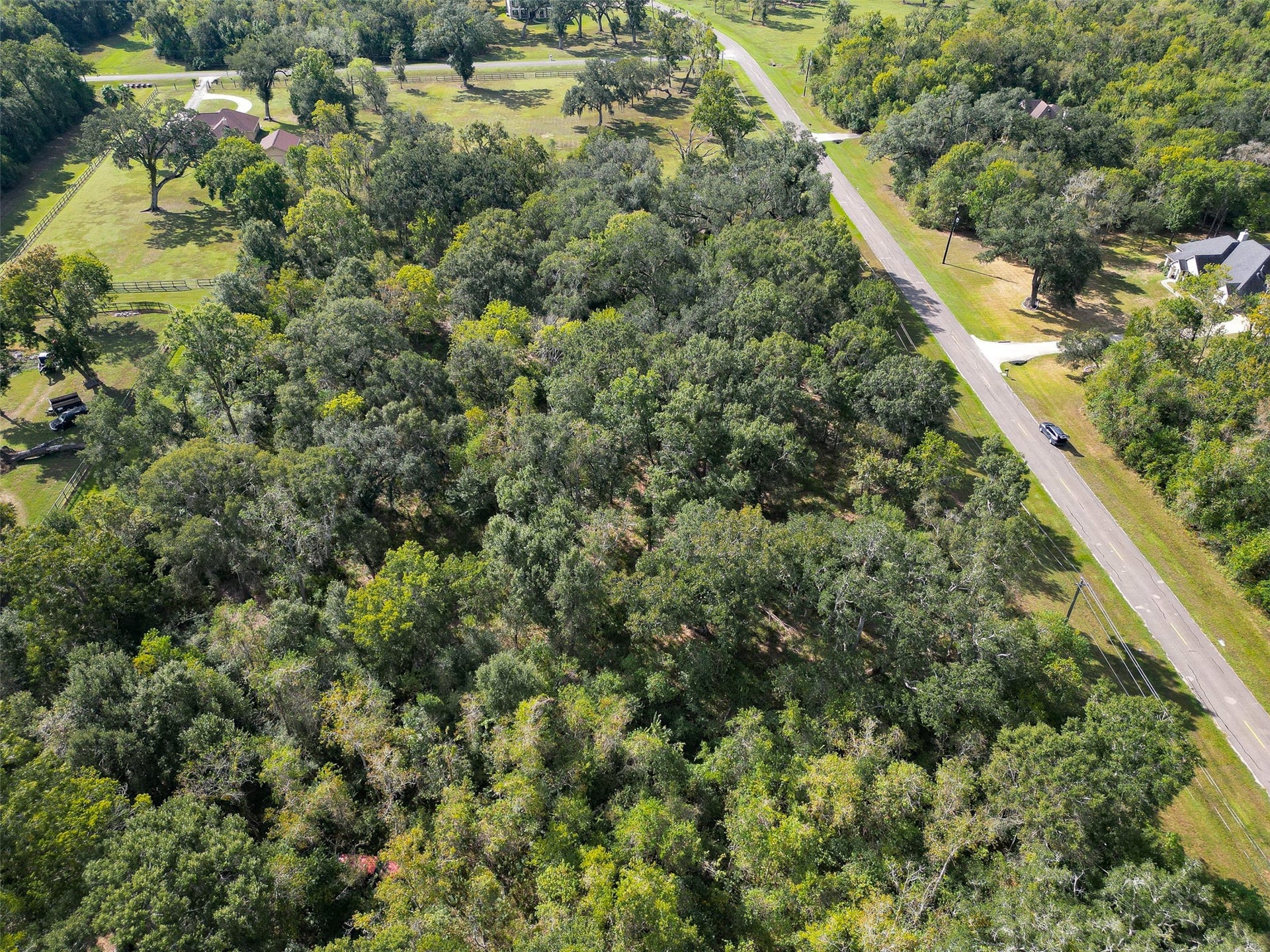 17227 Hamill Drive, Rosharon, TX 77583 17227 Hamill Drive, Rosharon, TX 77583