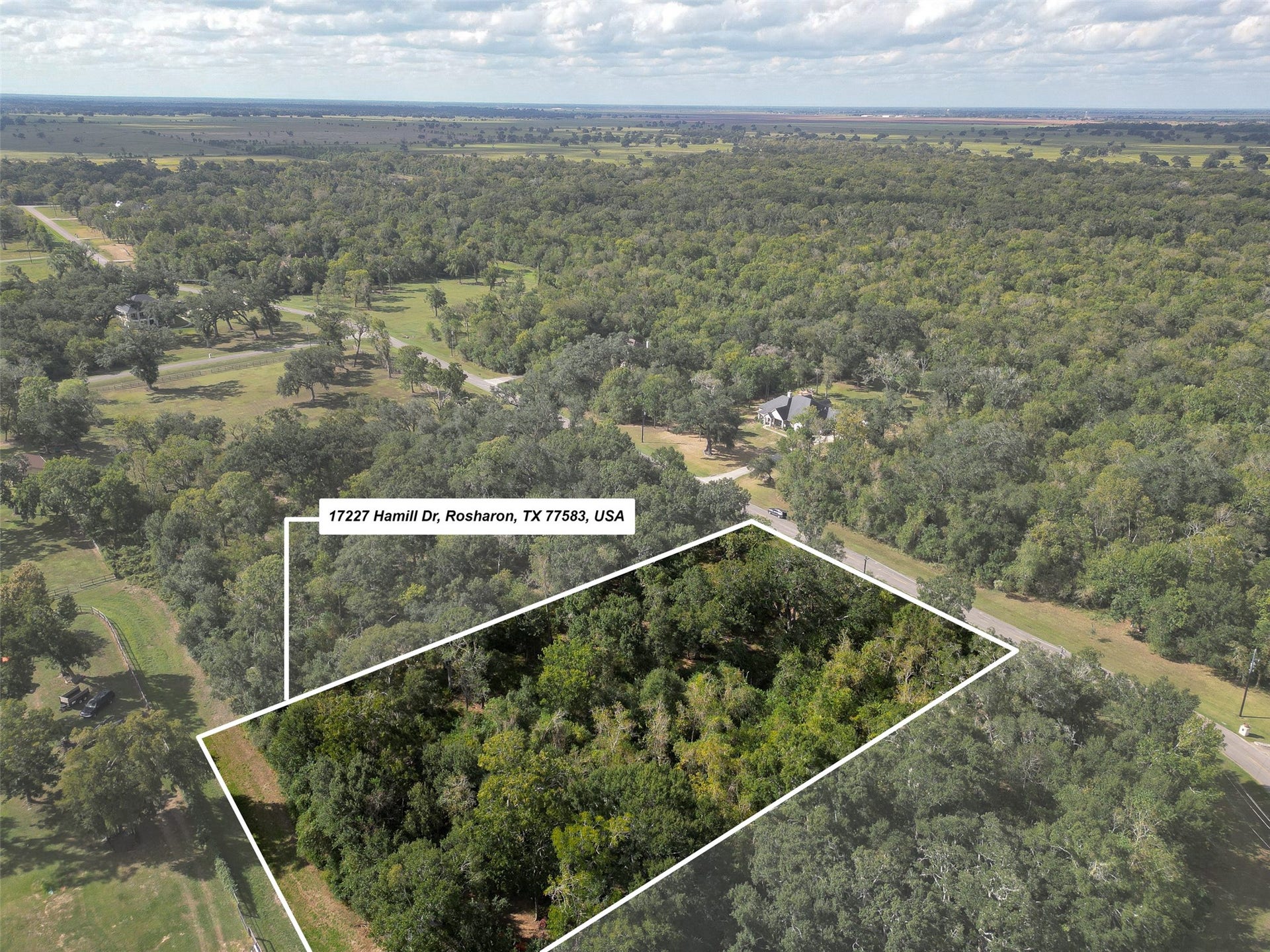 17227 Hamill Drive, Rosharon, TX 77583 17227 Hamill Drive, Rosharon, TX 77583
