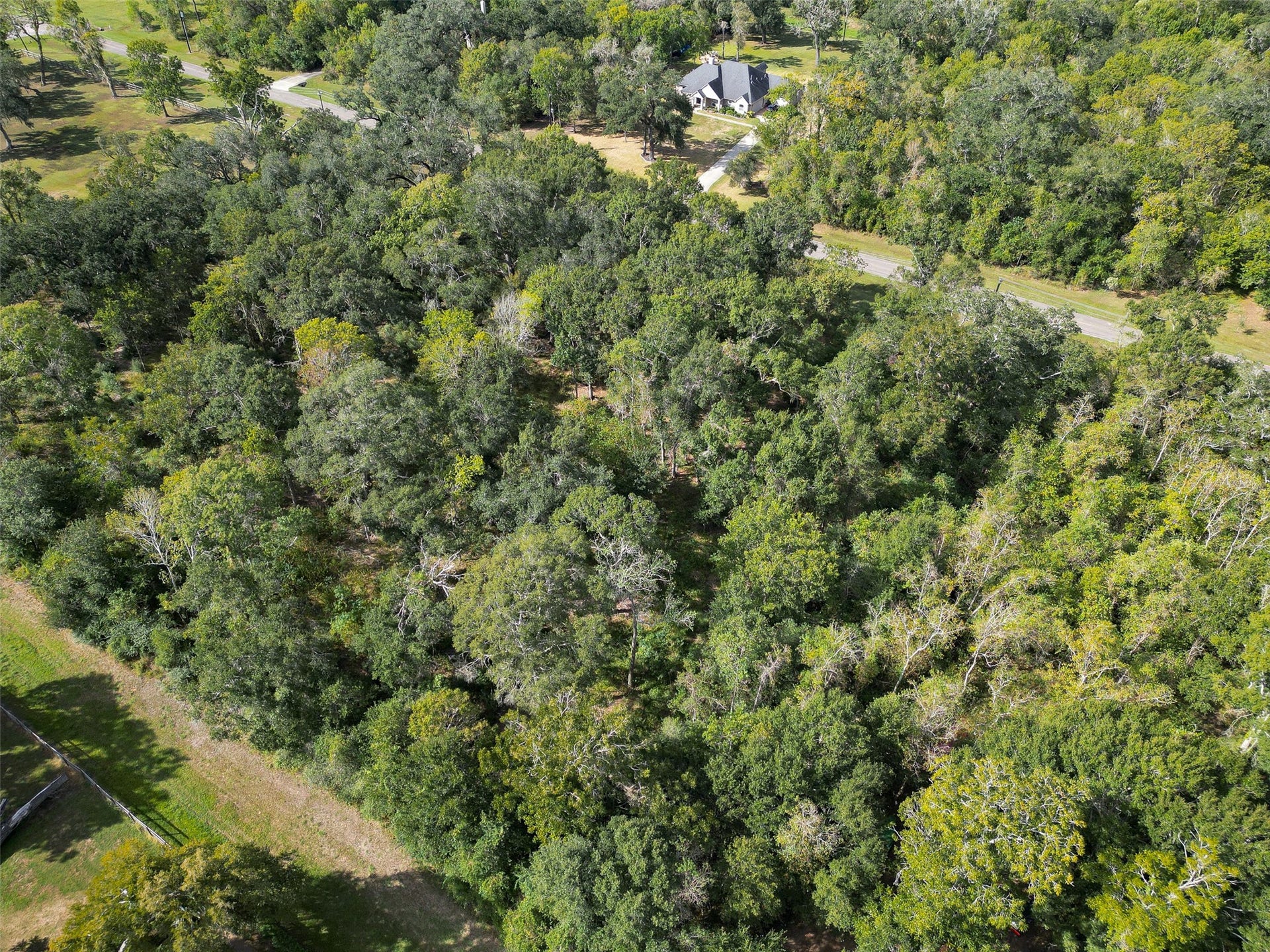 17227 Hamill Drive, Rosharon, TX 77583 17227 Hamill Drive, Rosharon, TX 77583