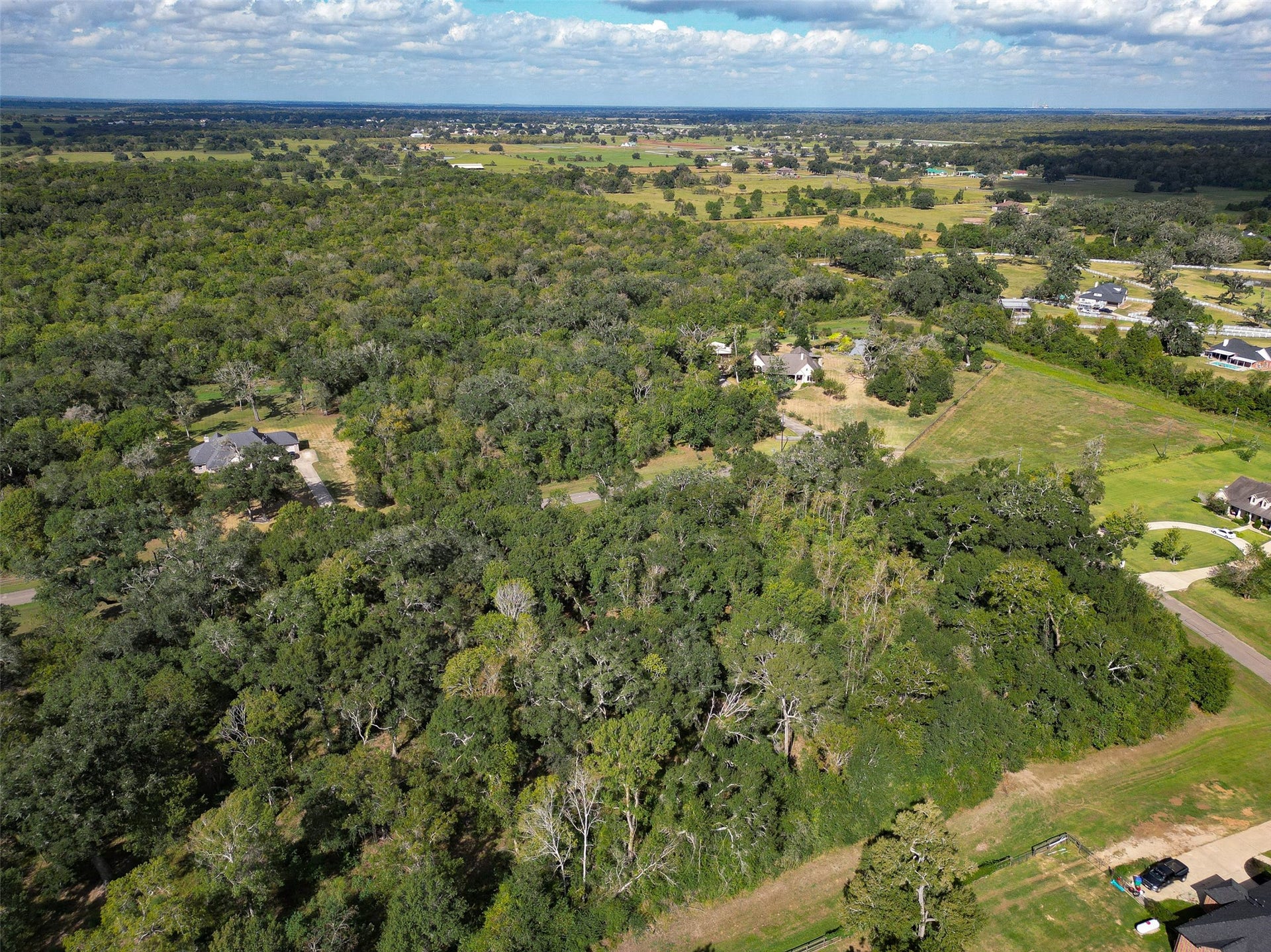 17227 Hamill Drive, Rosharon, TX 77583 17227 Hamill Drive, Rosharon, TX 77583