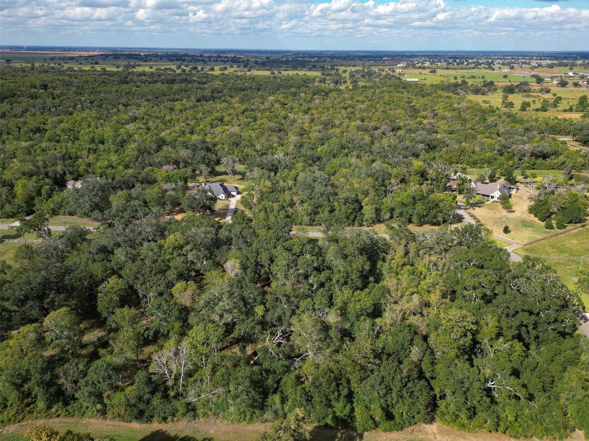 17227 Hamill Drive, Rosharon, TX 77583 17227 Hamill Drive, Rosharon, TX 77583