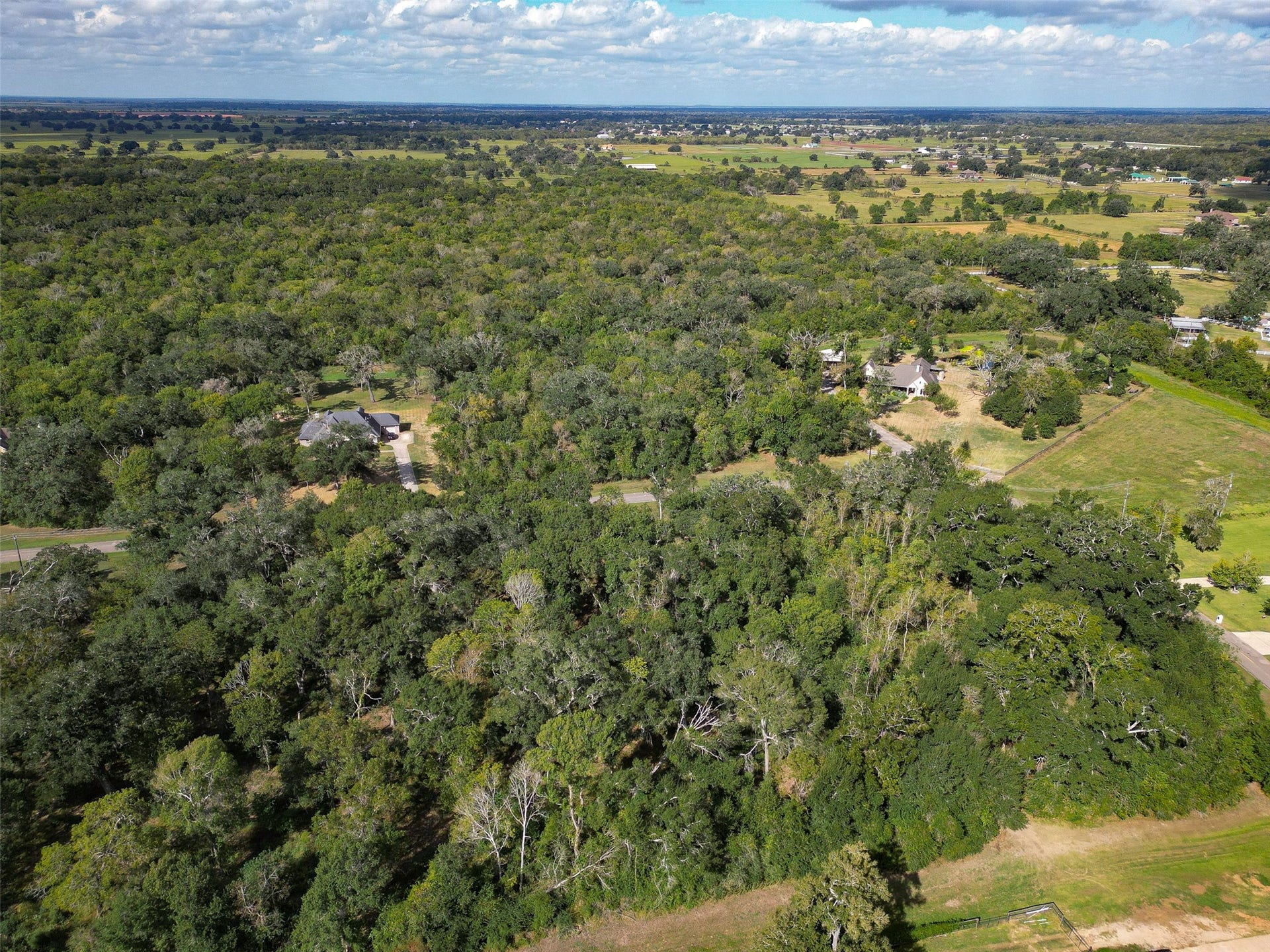 17227 Hamill Drive, Rosharon, TX 77583 17227 Hamill Drive, Rosharon, TX 77583