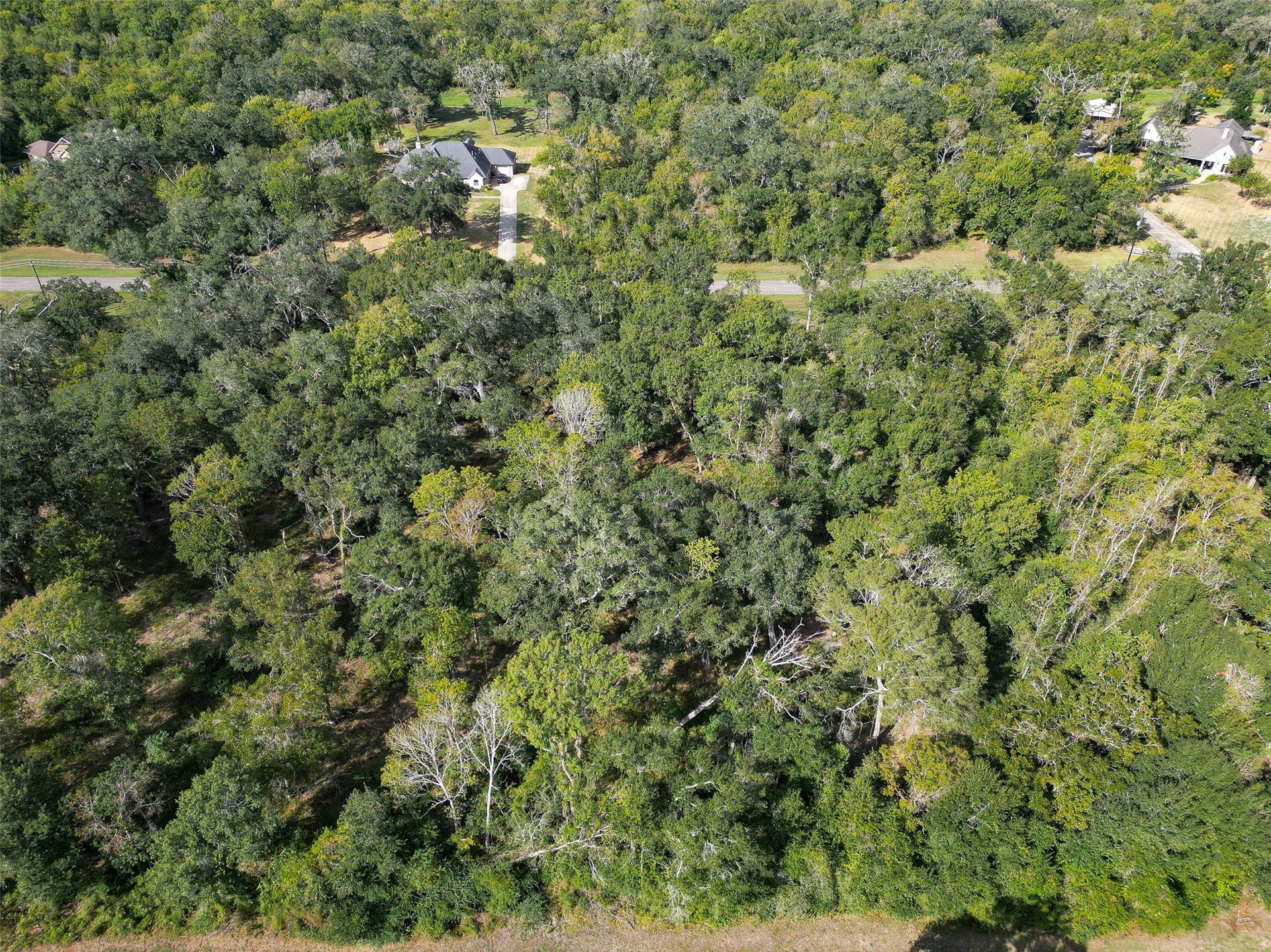 17227 Hamill Drive, Rosharon, TX 77583 17227 Hamill Drive, Rosharon, TX 77583