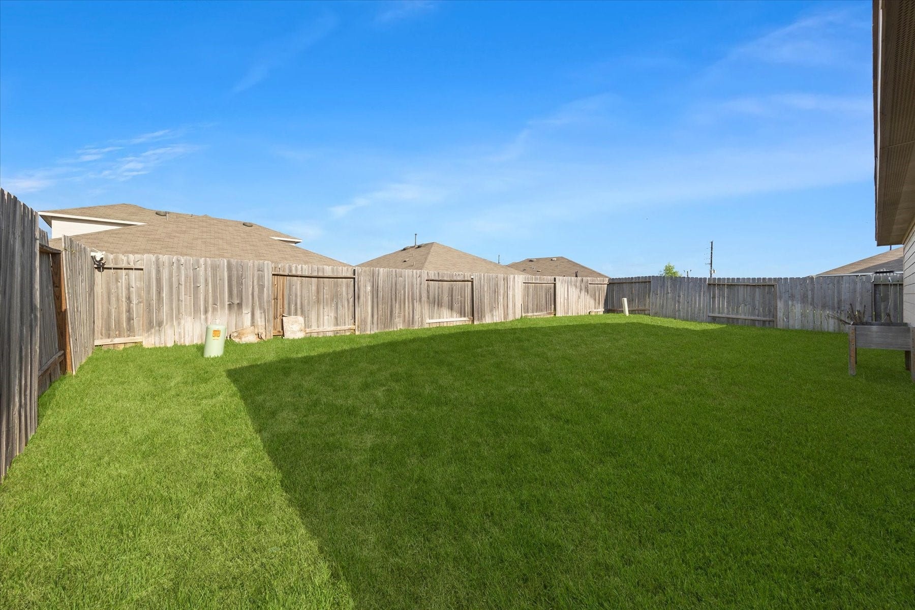 Spacious backyard with plenty of room to play.