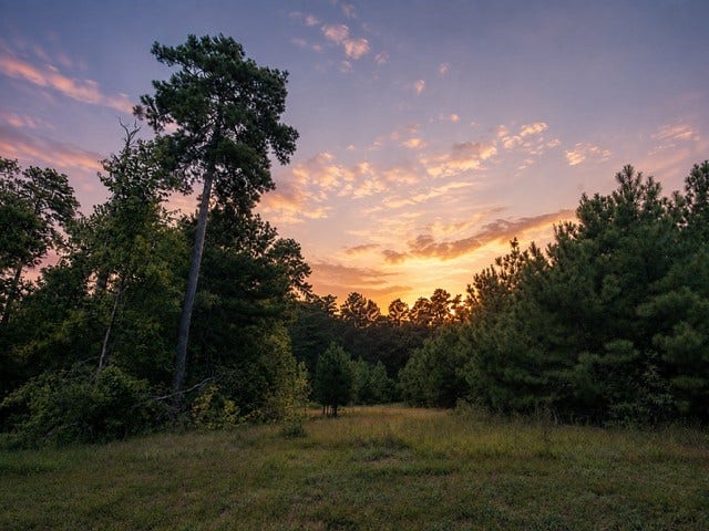 Property photo for 15881 Wood Grove Way, Willis, TX